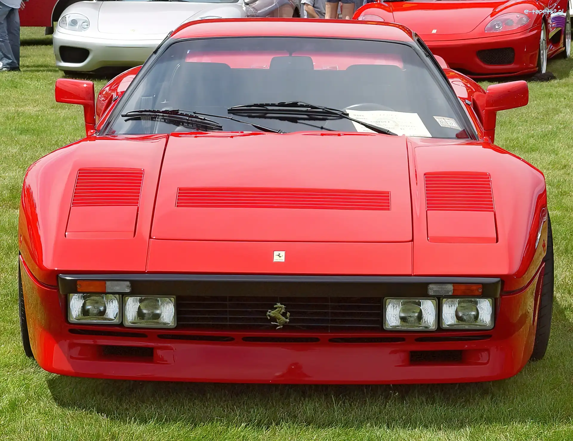 Ferrari 288 GTO, Maska, Emblemat