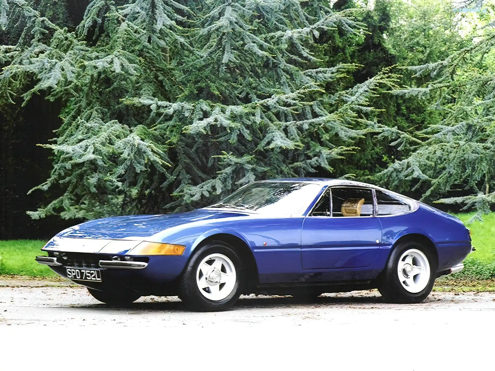 Alufelgi, Ferrari Daytona, Niebieskie