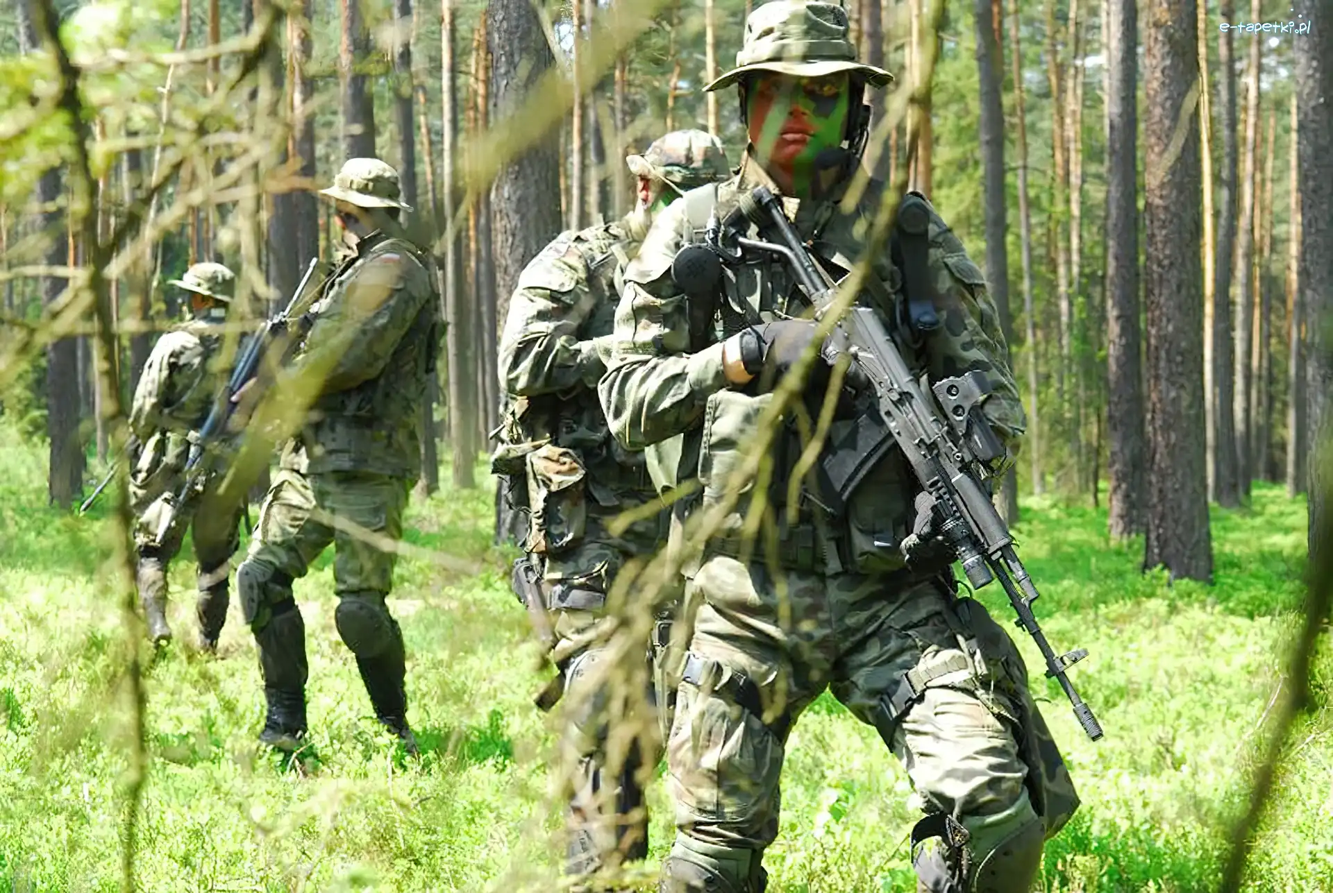 Żołnierzy, Lesie, W, Zwiad