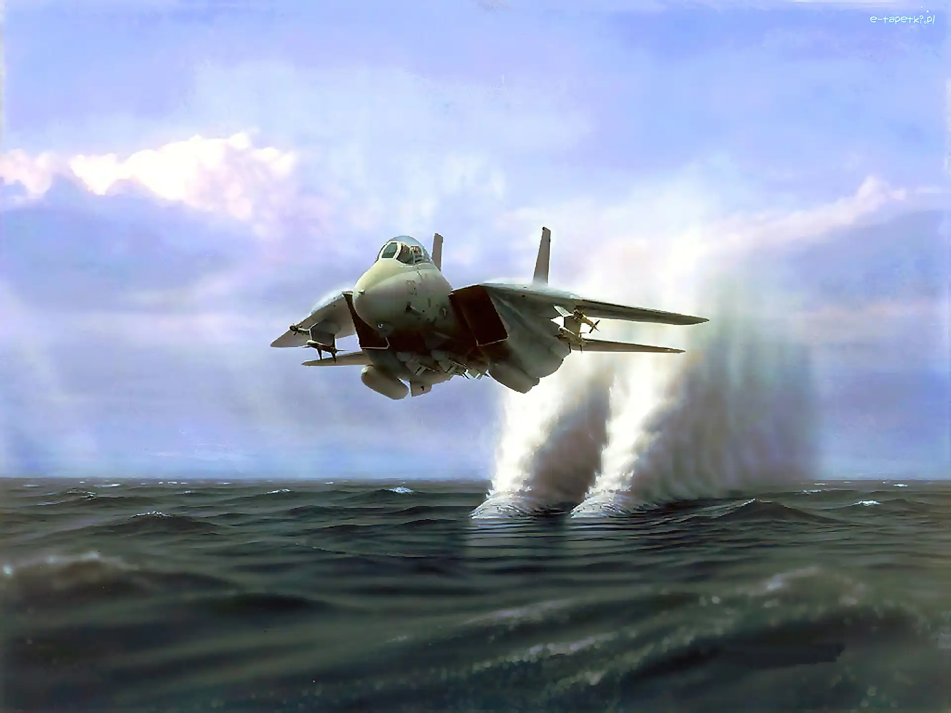F-14, Fala, Tomcat, Grumman