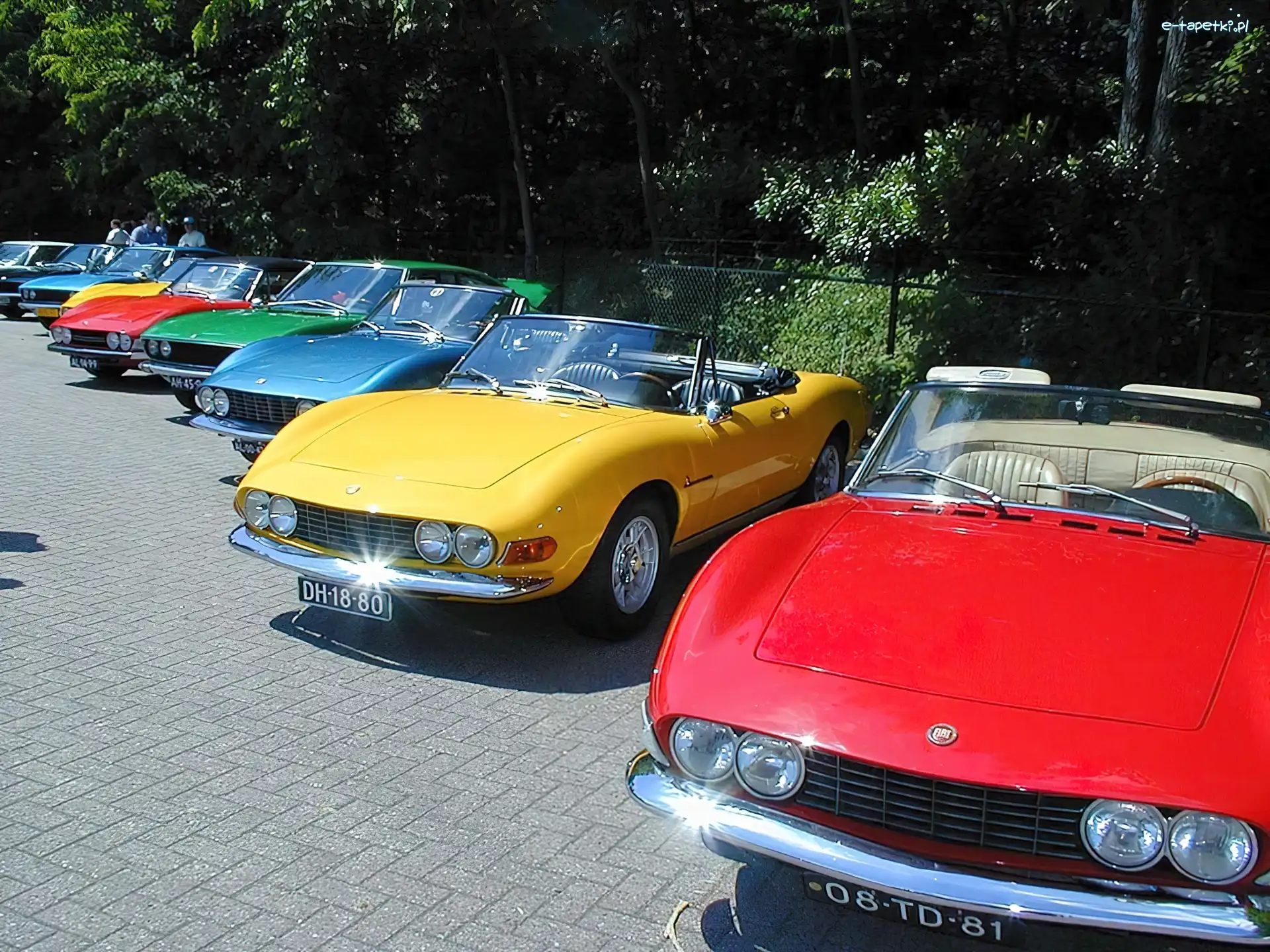 Fiat Dino, Miłośników, Zlot