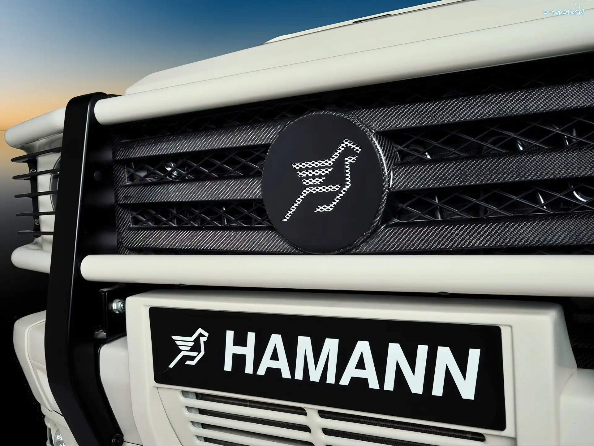 Karbon, Hamann, Logo