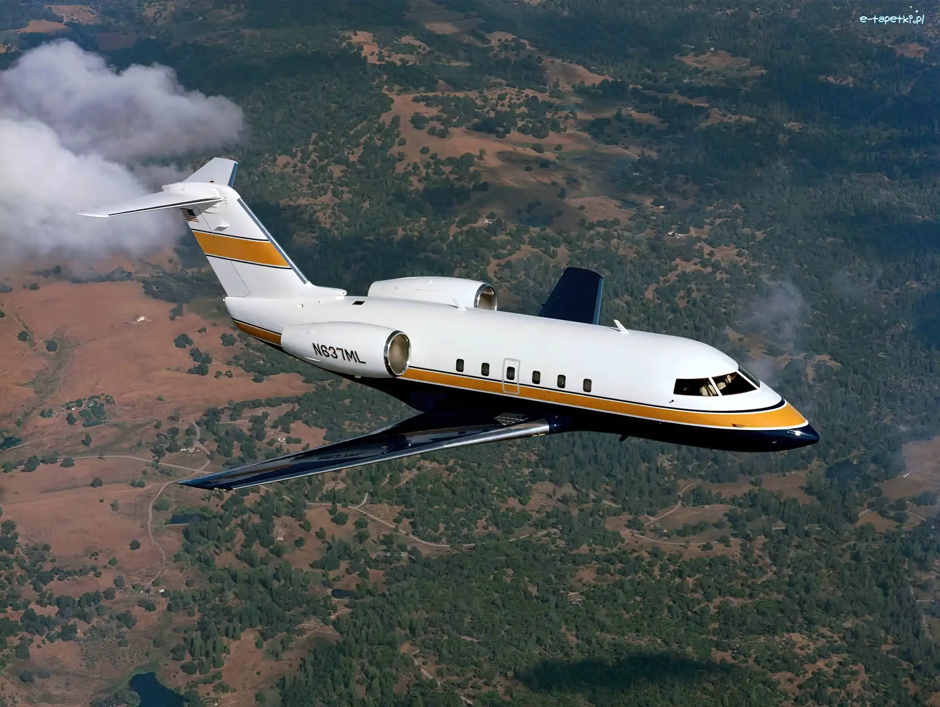 Challenger, Panorama, 600, Bombardier