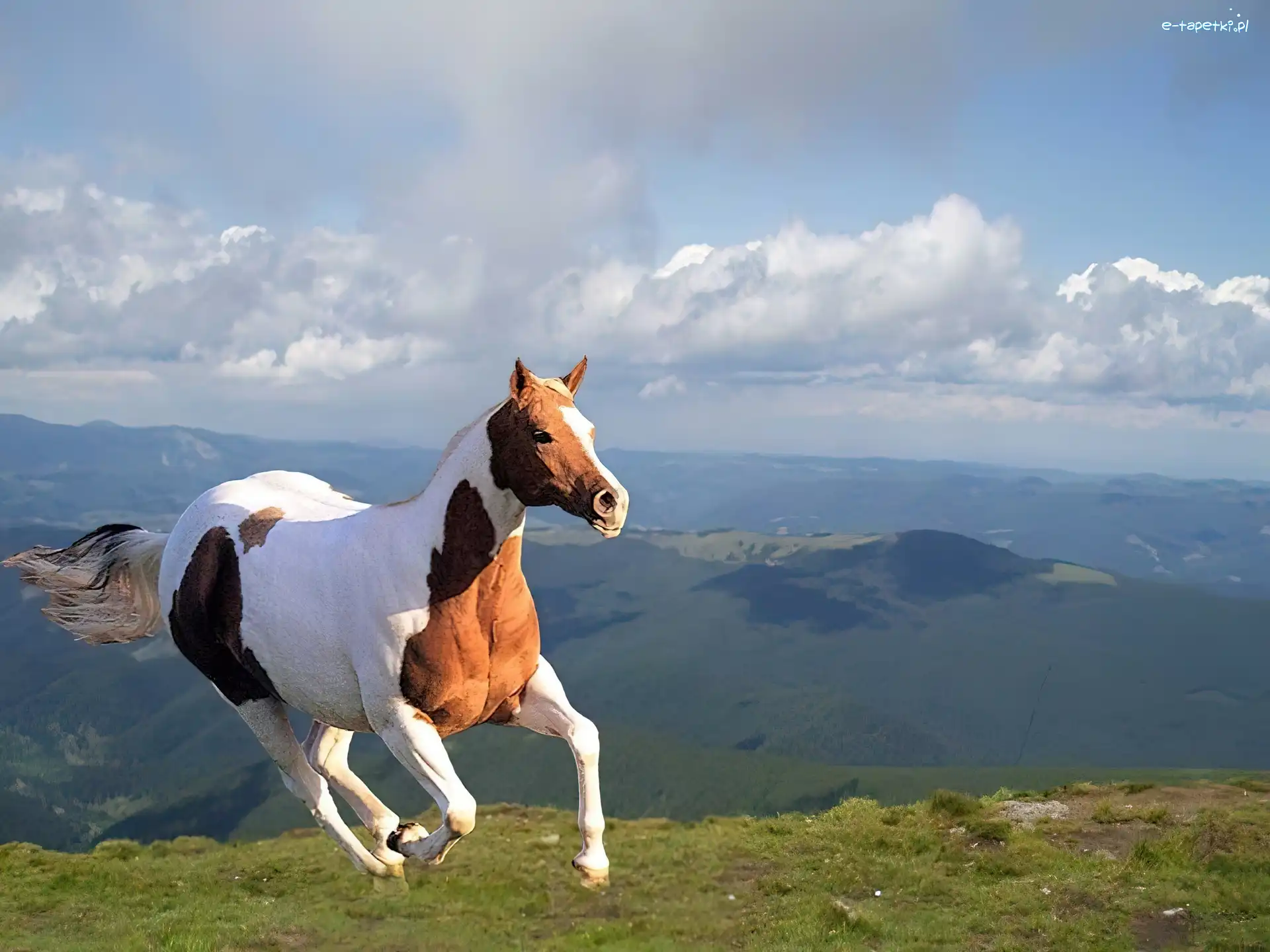 Góry, Koń, Galop