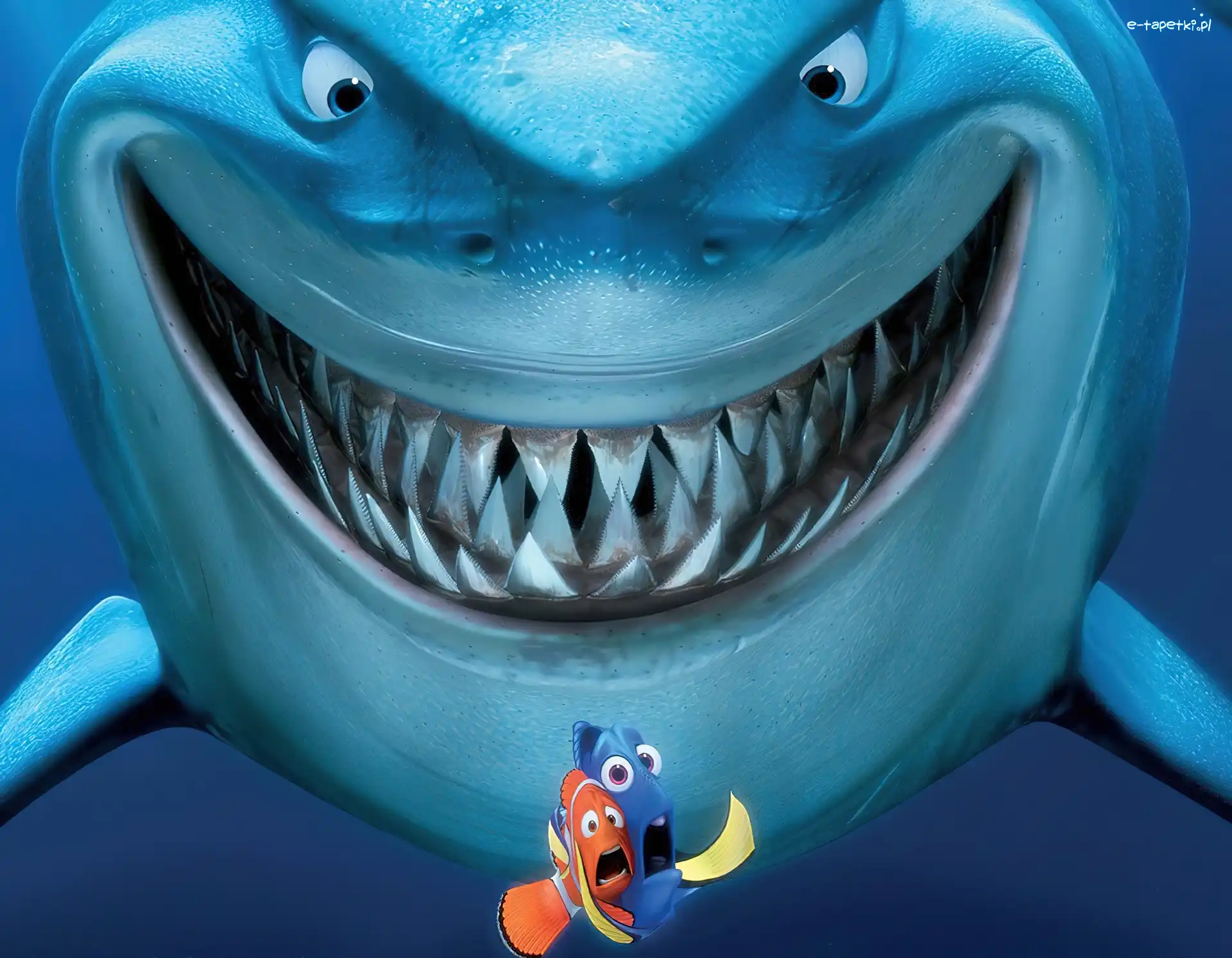 Rekin, Finding Nemo, Gdzie jest Nemo
