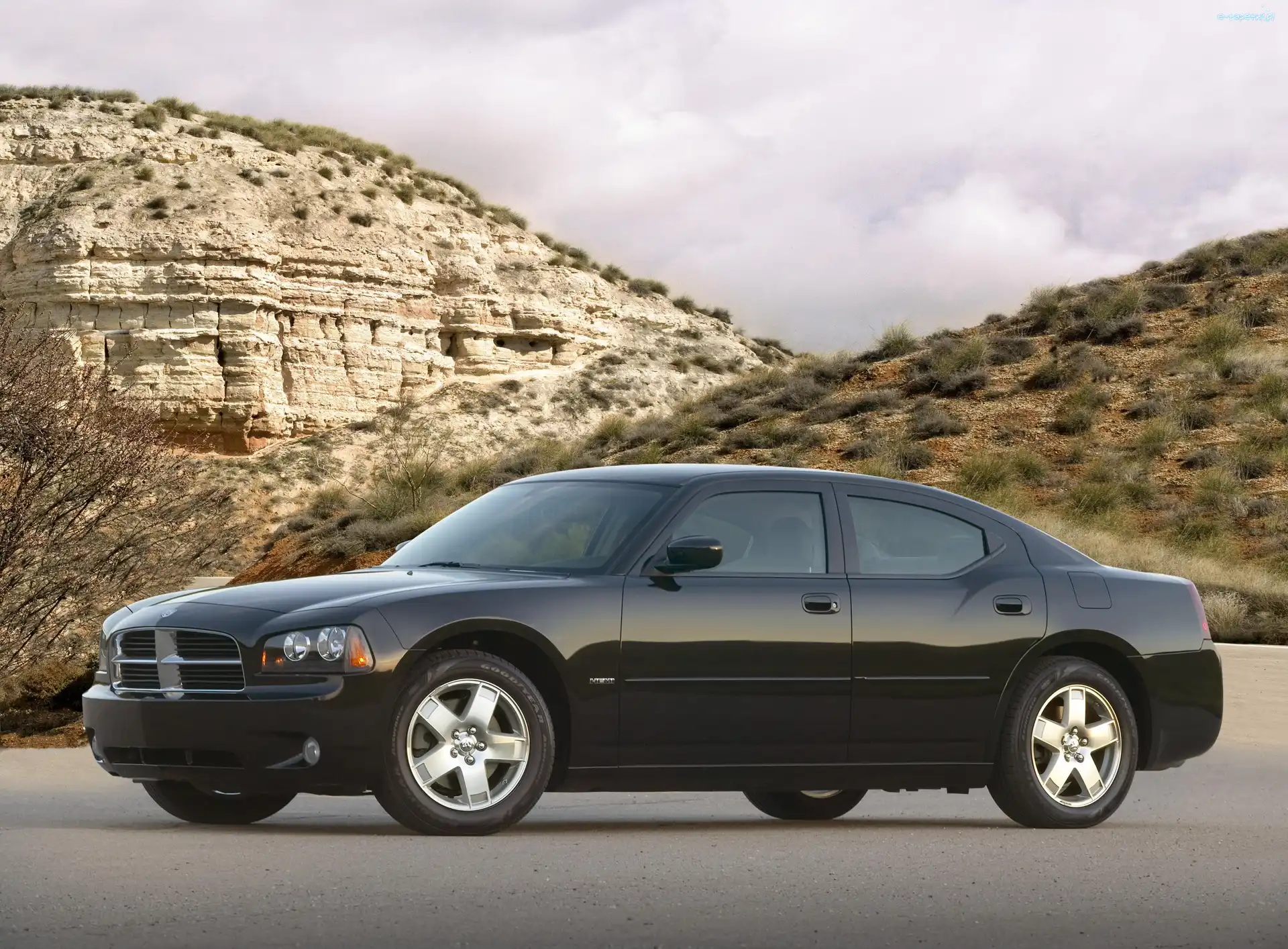 Sedan, Dodge Charger