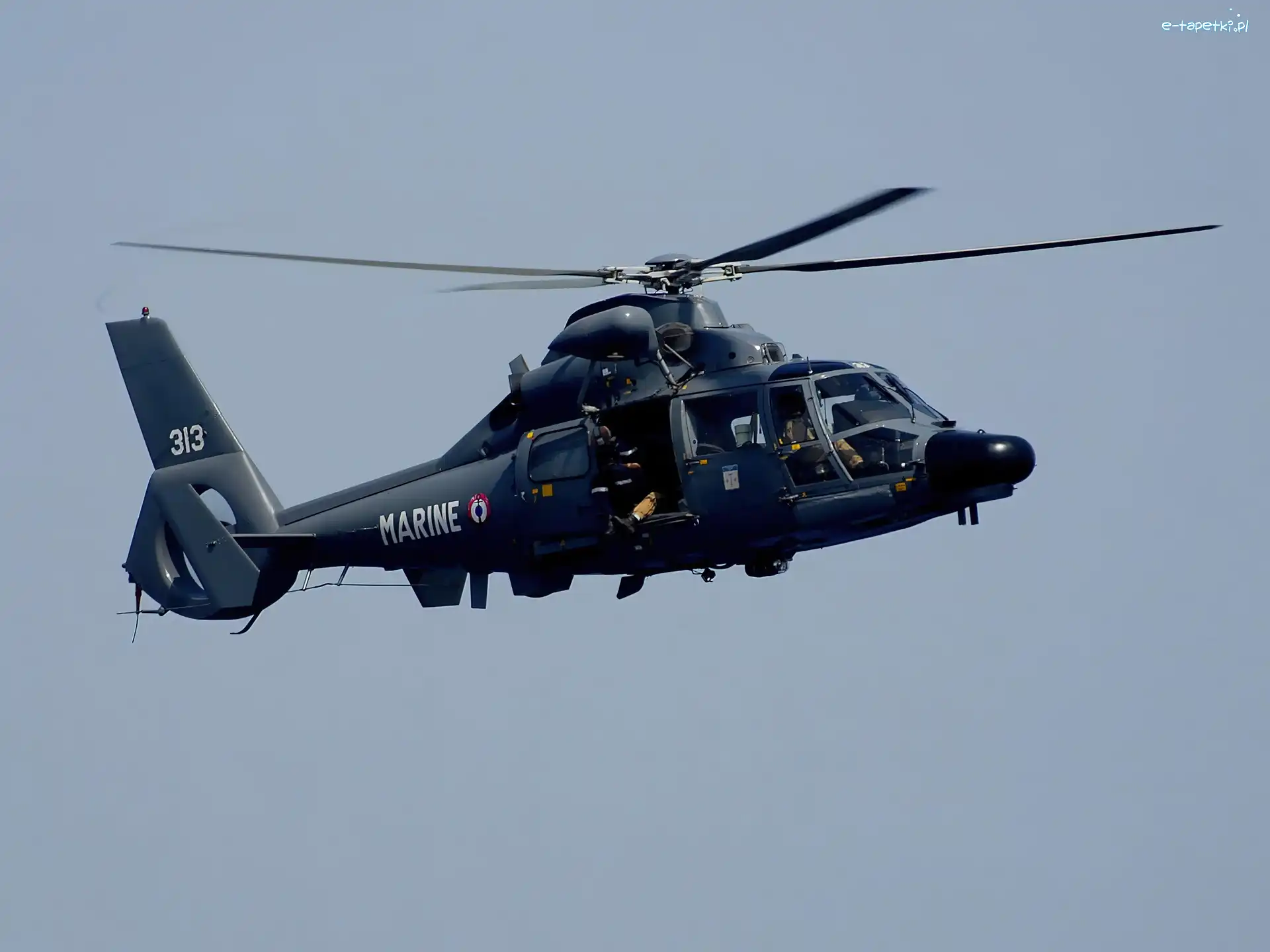 Marine, Eurocopter AS-365N Dauphin