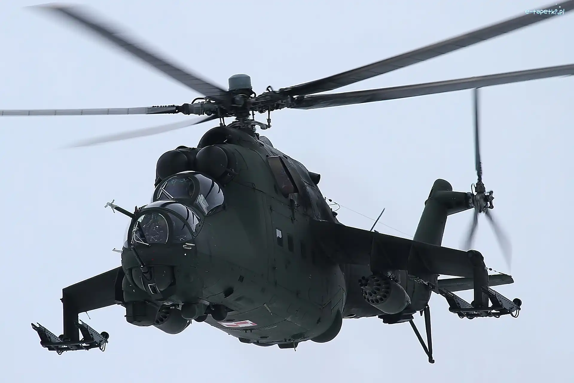 Mil Mi-24D Hind