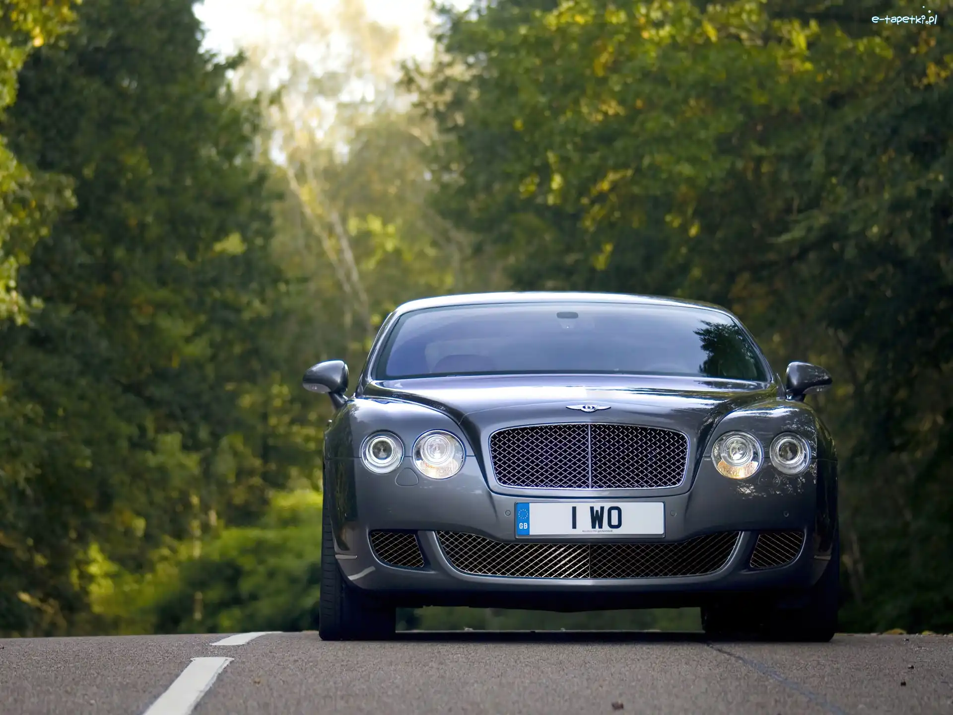 Przedni, Zderzak, Bentley Continental GT