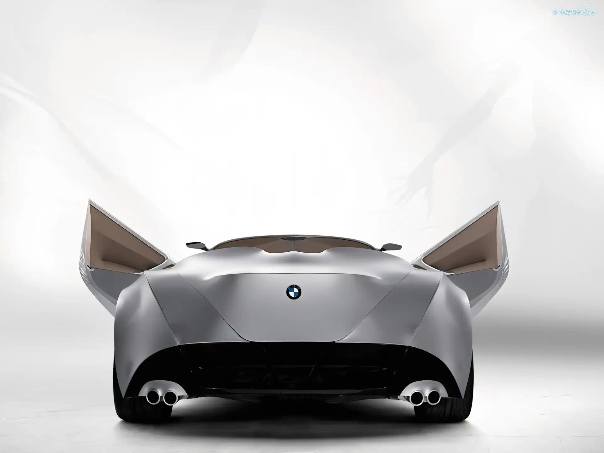 Wydechowy, Układ, BMW GINA