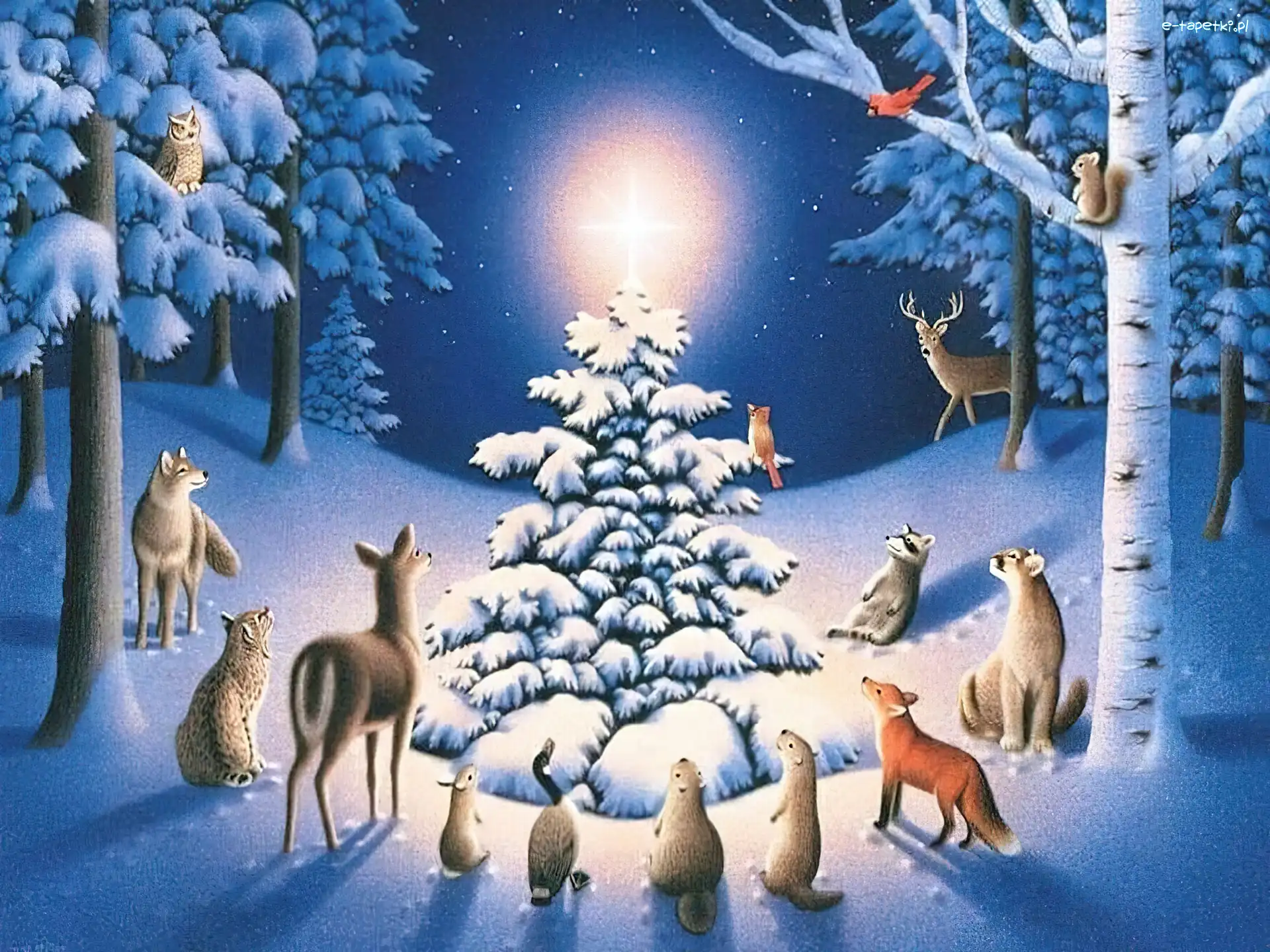 Las, Zwierzęta, Choinka