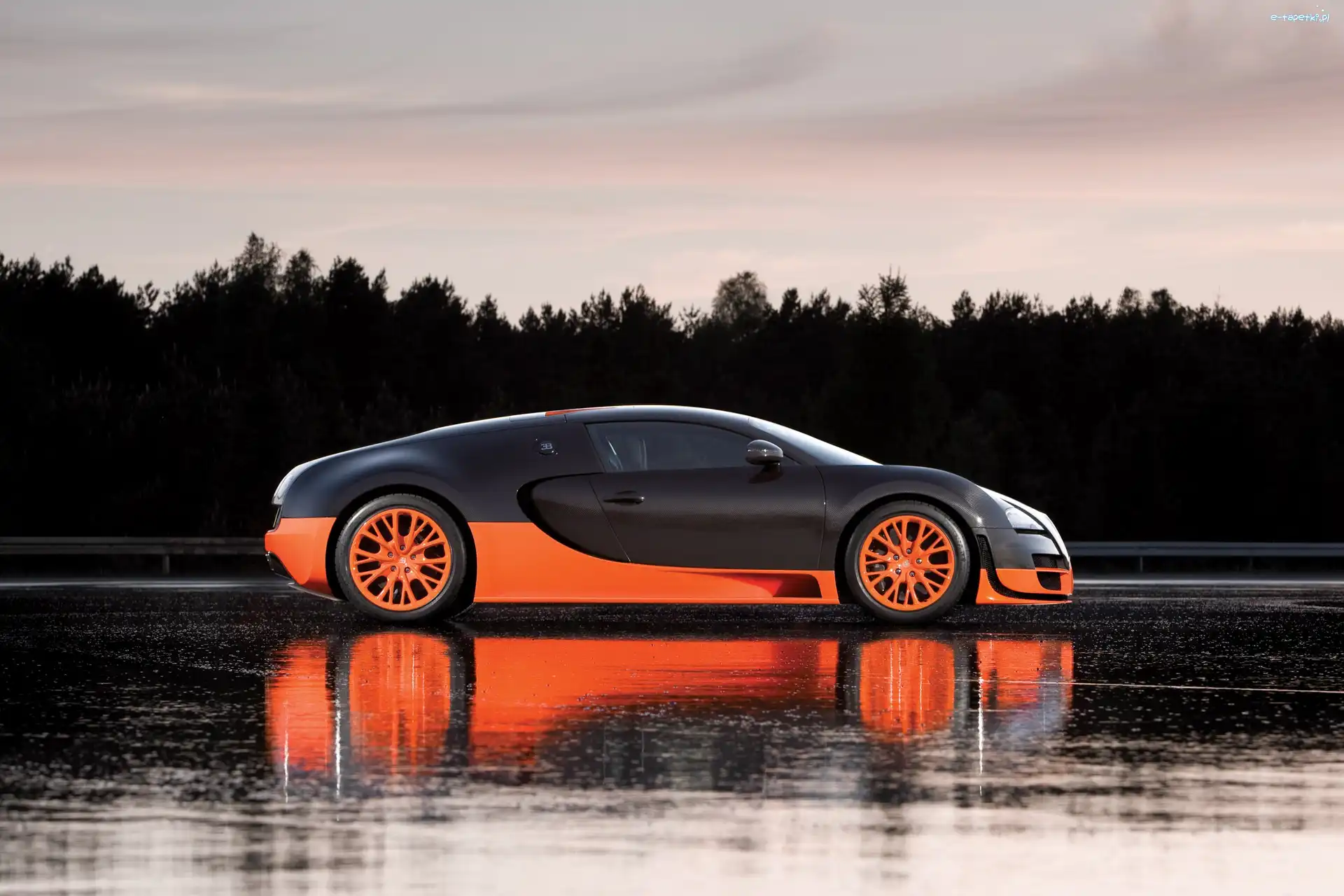 16.4 Super Sport, Wersja, Bugatti Veyron
