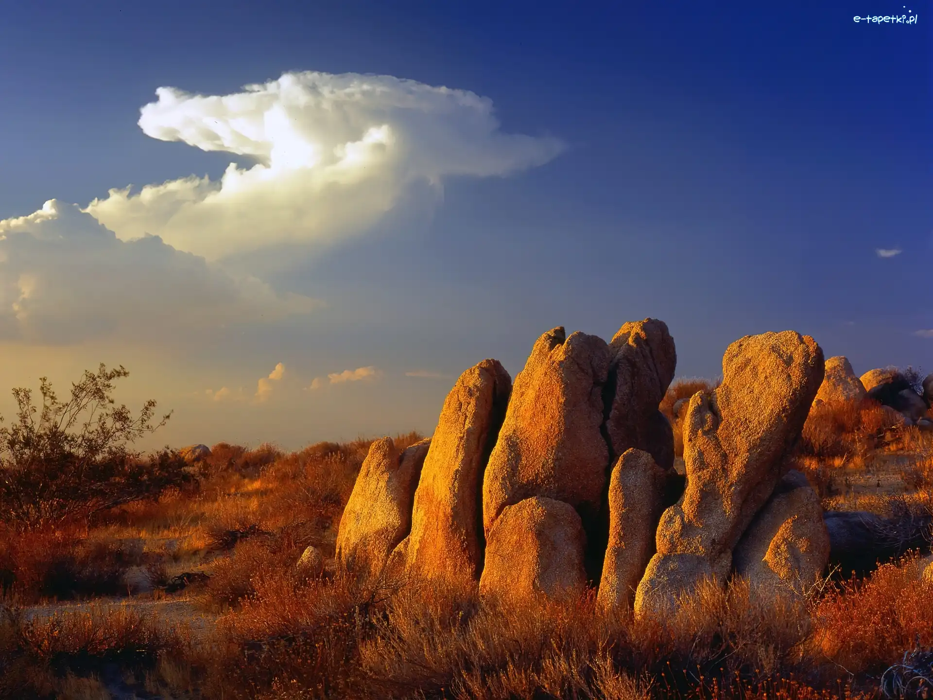 Kalifornia, Mojave, Pustynia