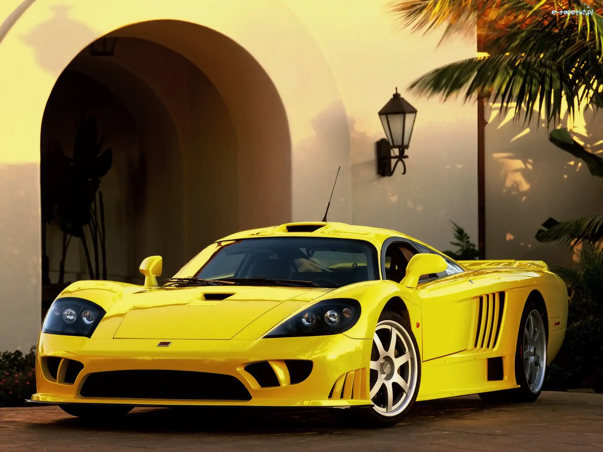 Żółty, Sportowa, Saleen S7, Nadwozia, Linia