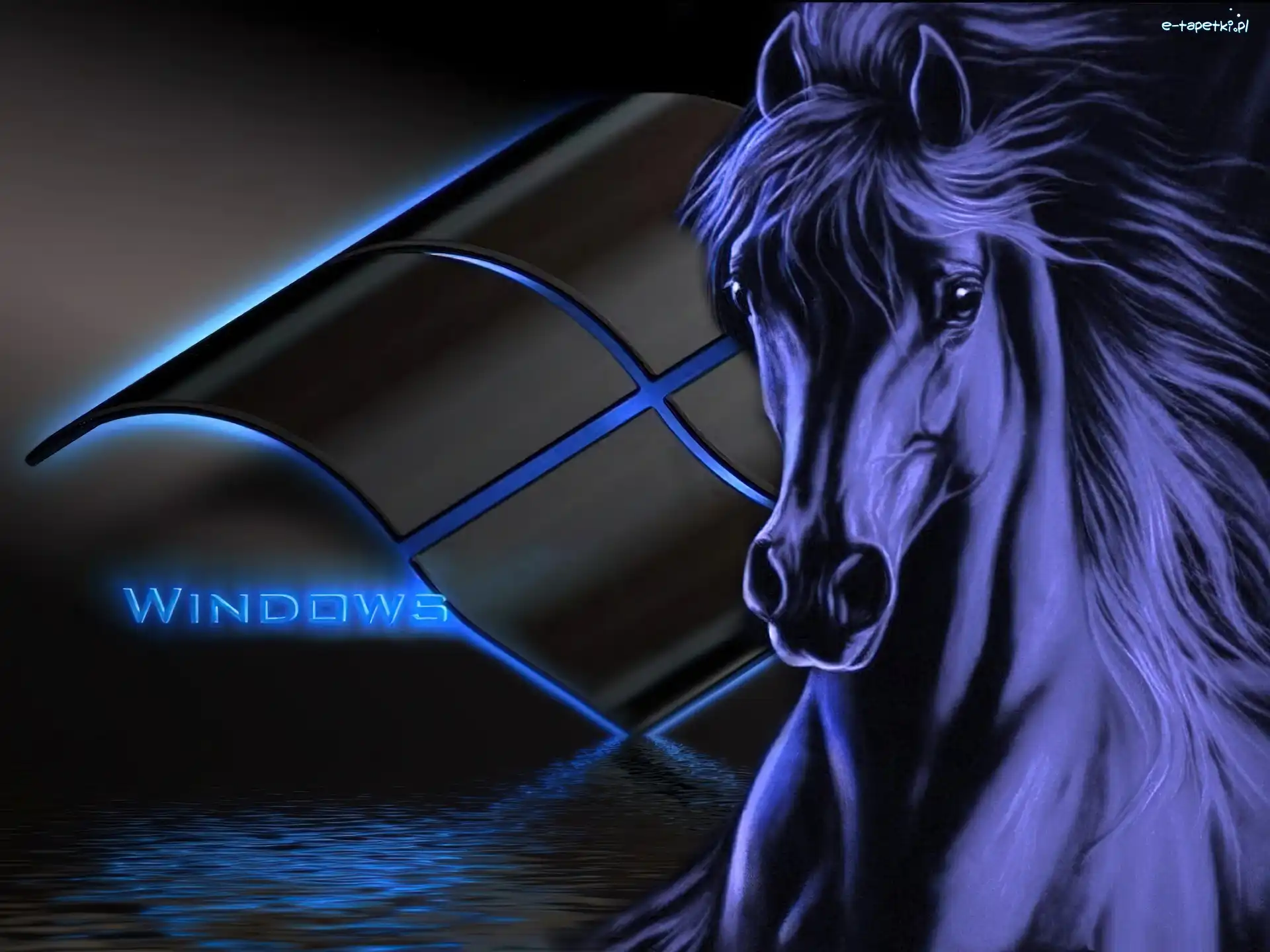 Windowsa, Logo, Koń
