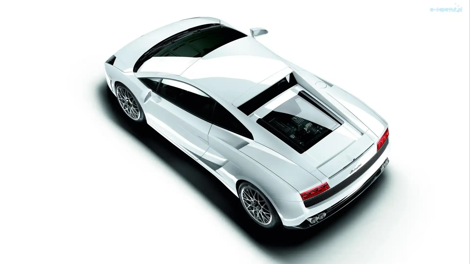 Lamborghini Murcielago, Białe