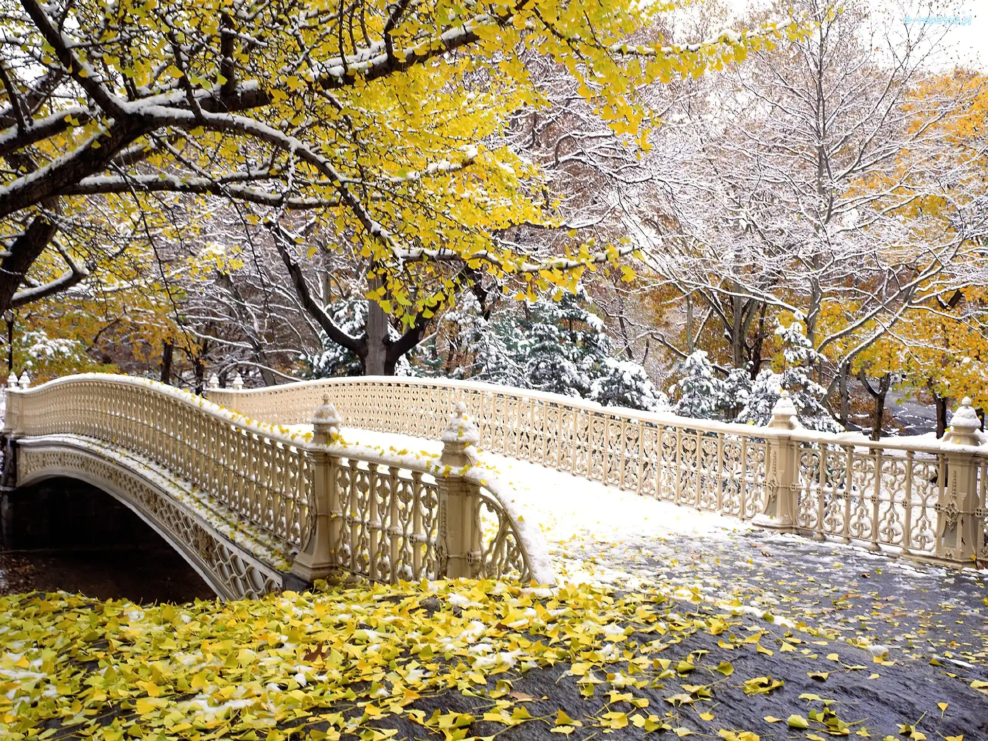 Jesień, Nowy York, Central Park