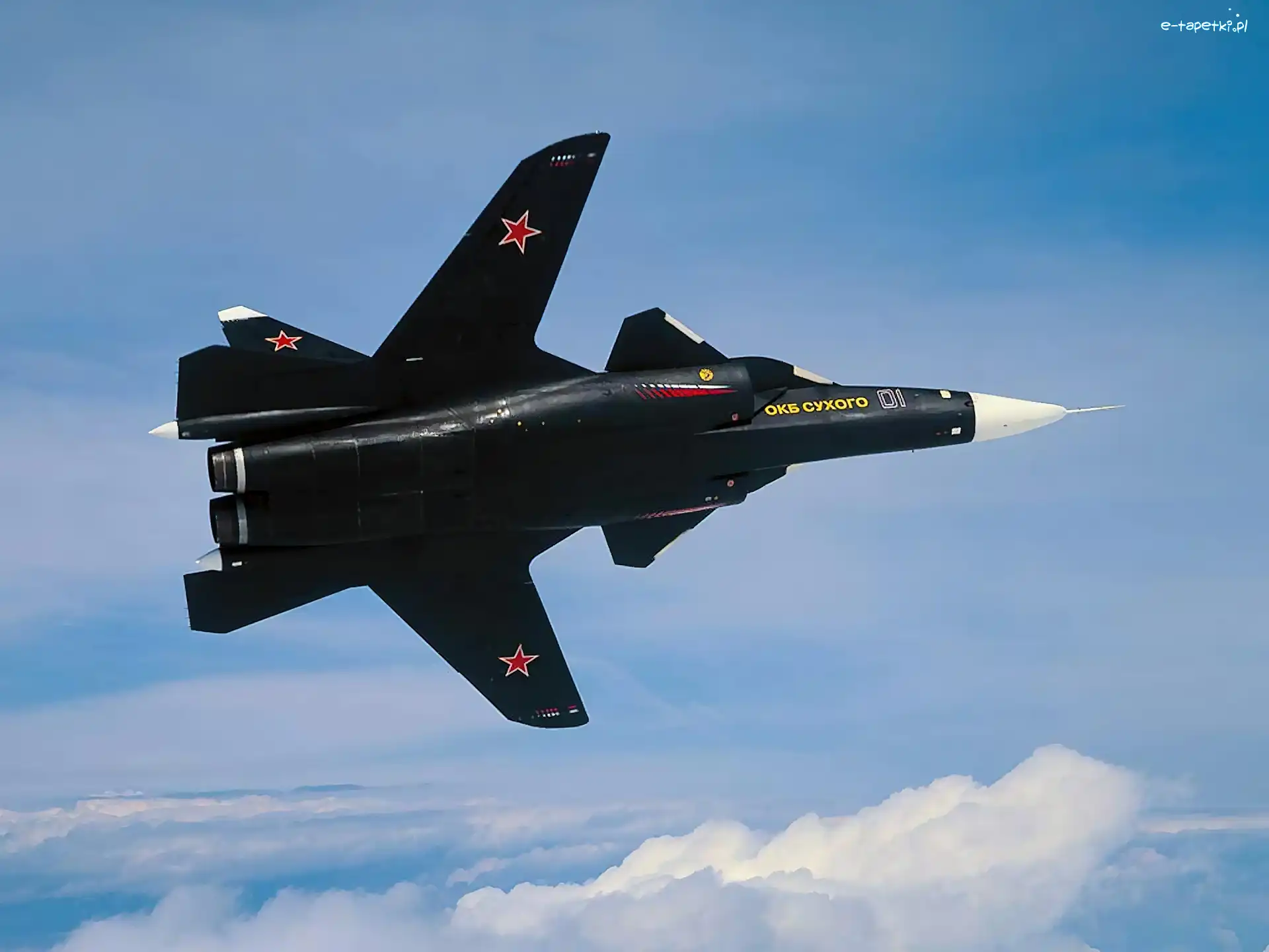 Skrzydła, Suchoj SU-47 Berkut