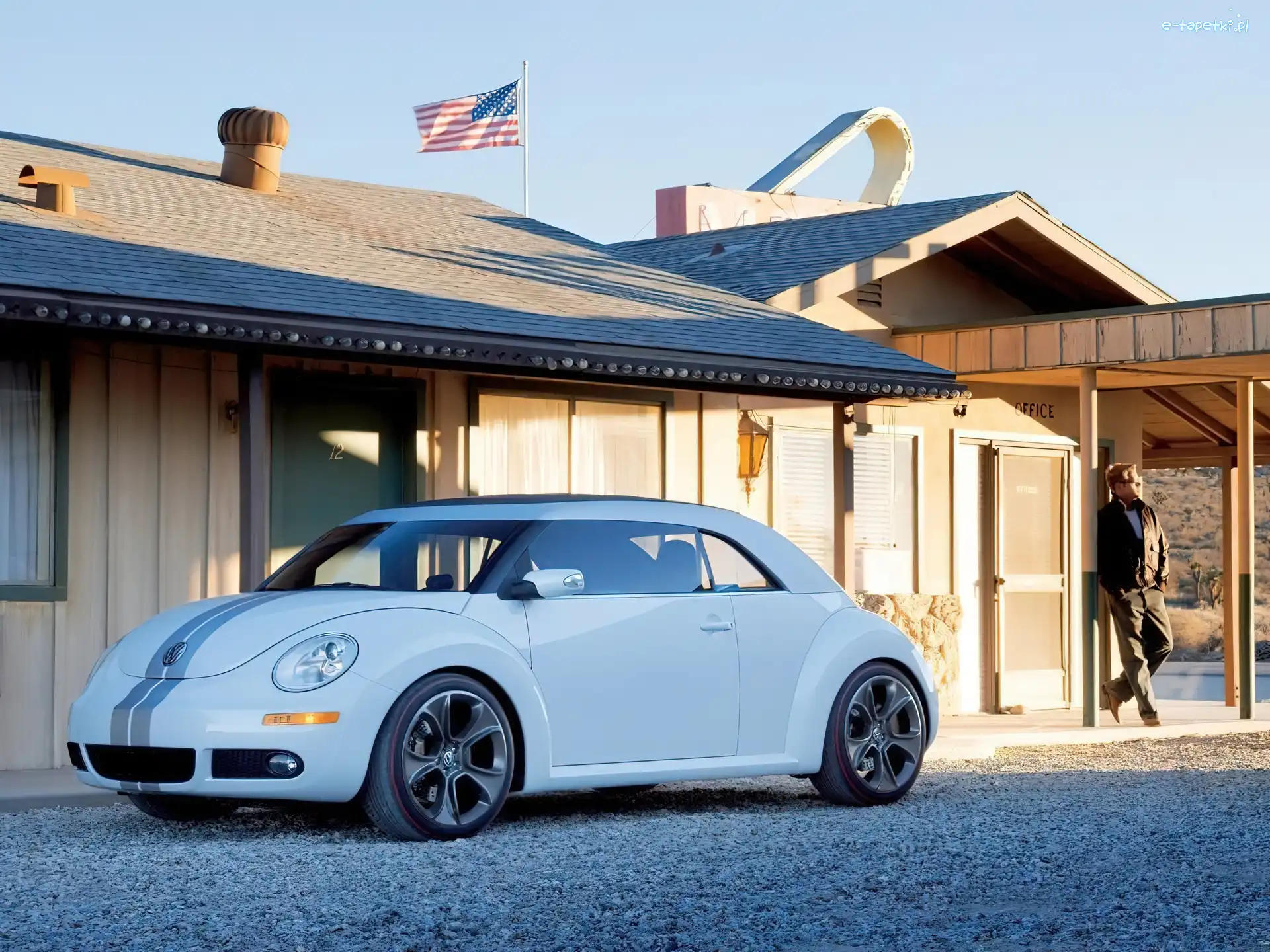 2 szare pasy, New Beetle