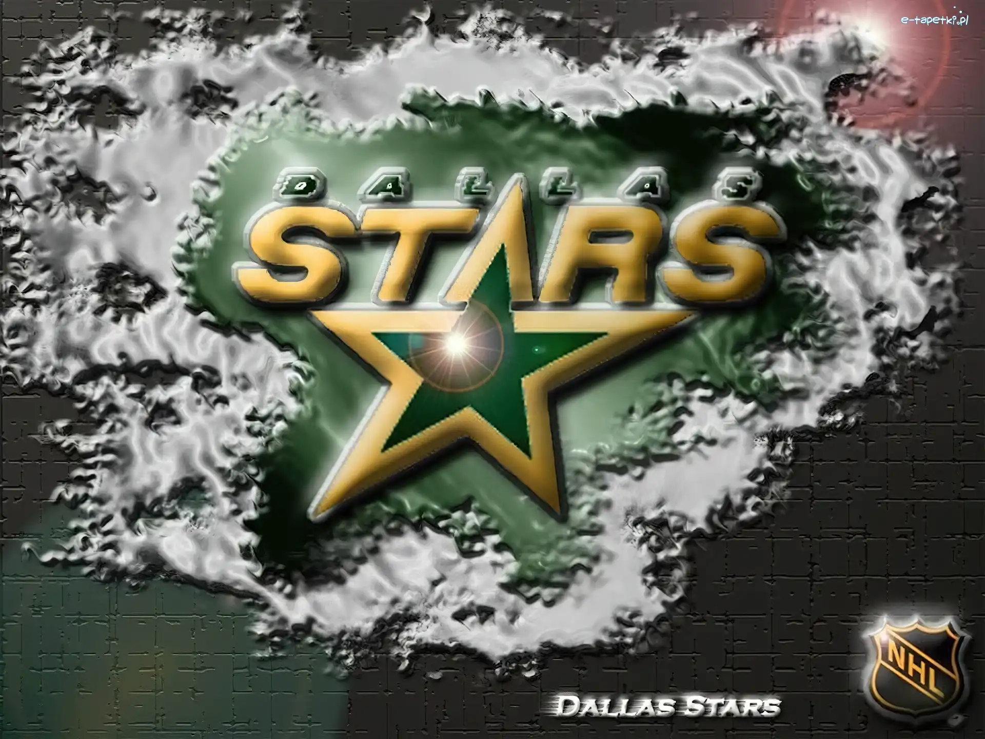 Drużyny, Dallas Stars, NHL, Logo