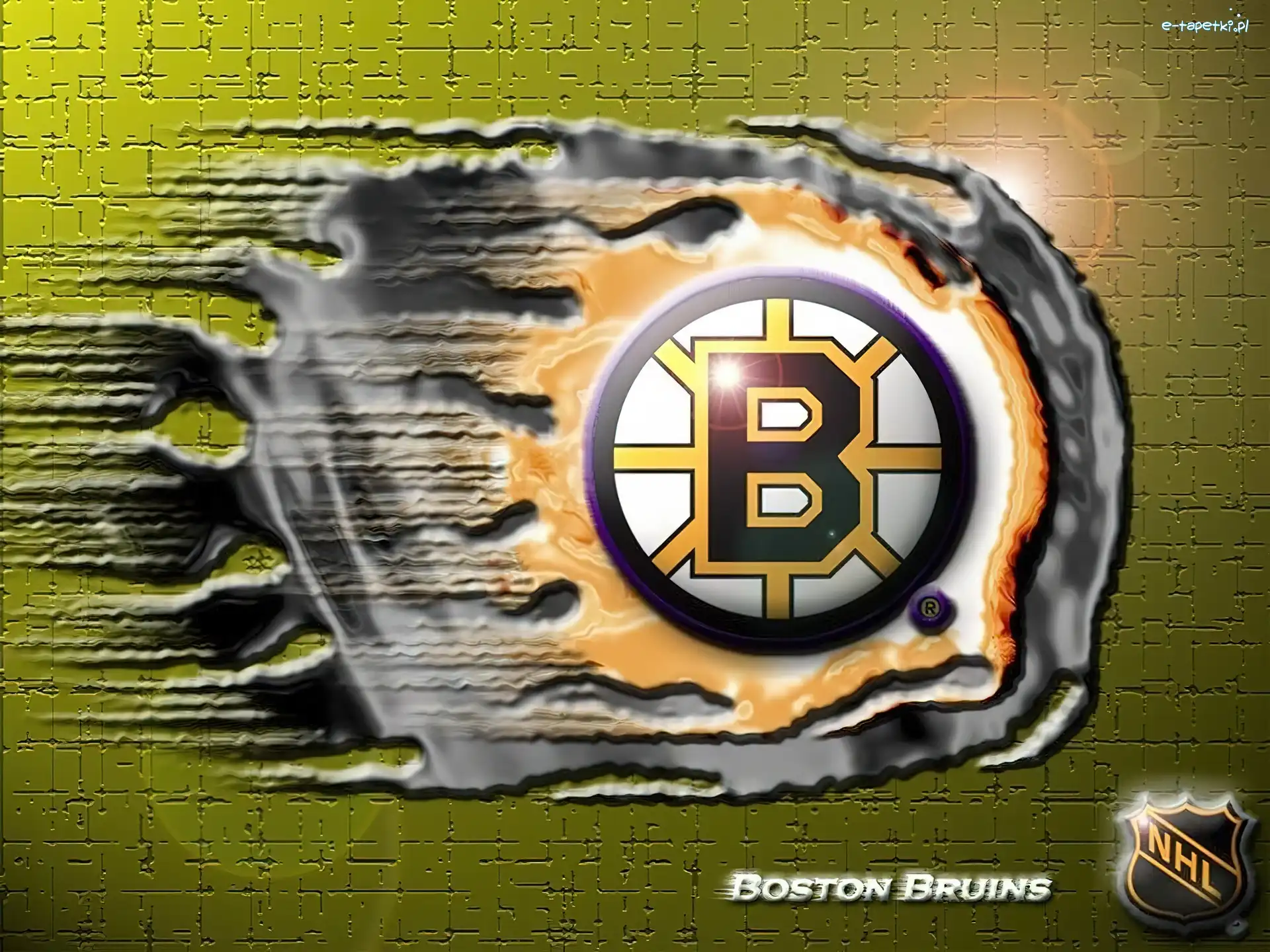 Drużyny, Boston Bruins, NHL, Logo