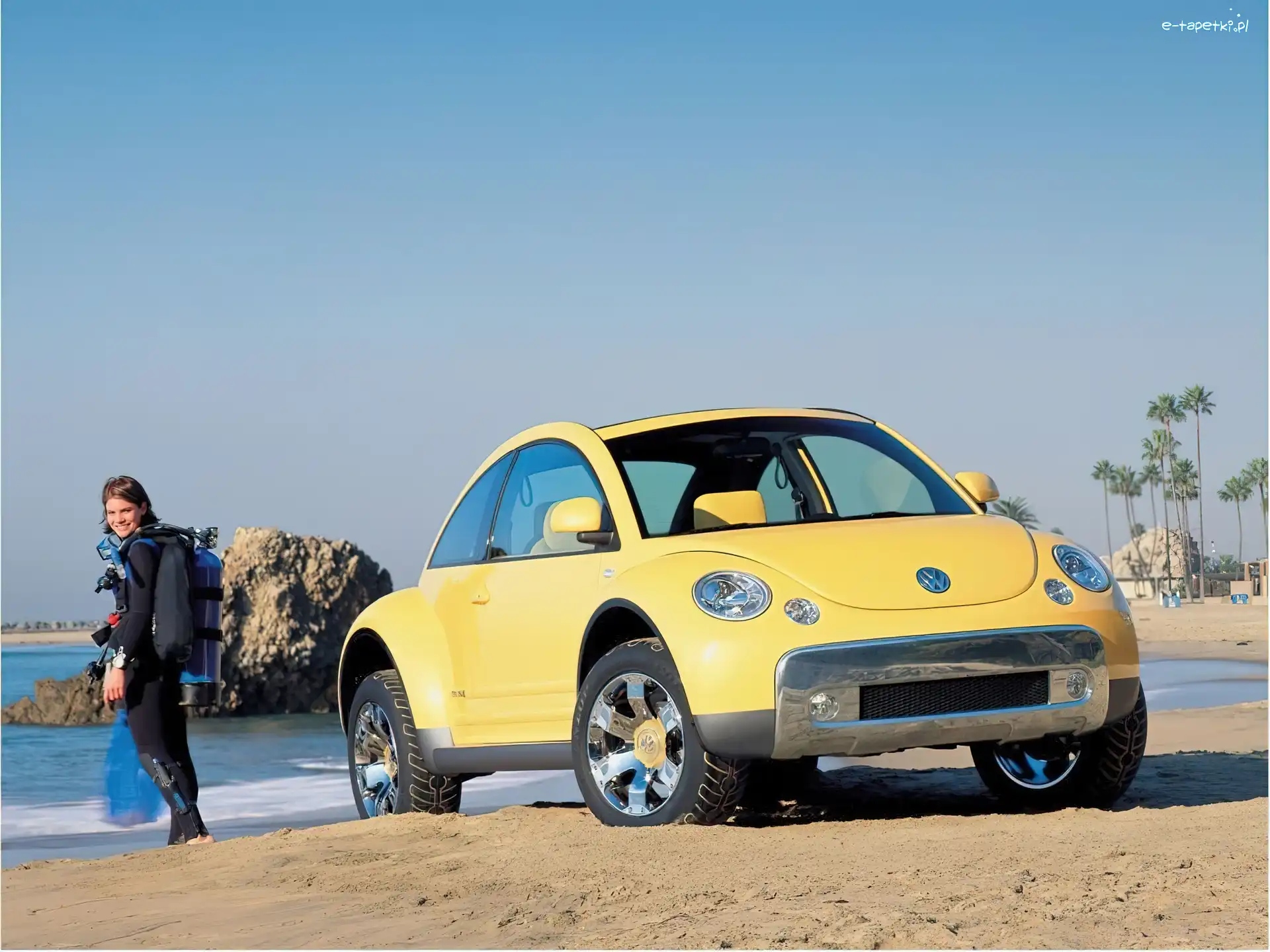 4x4, New Beetle
