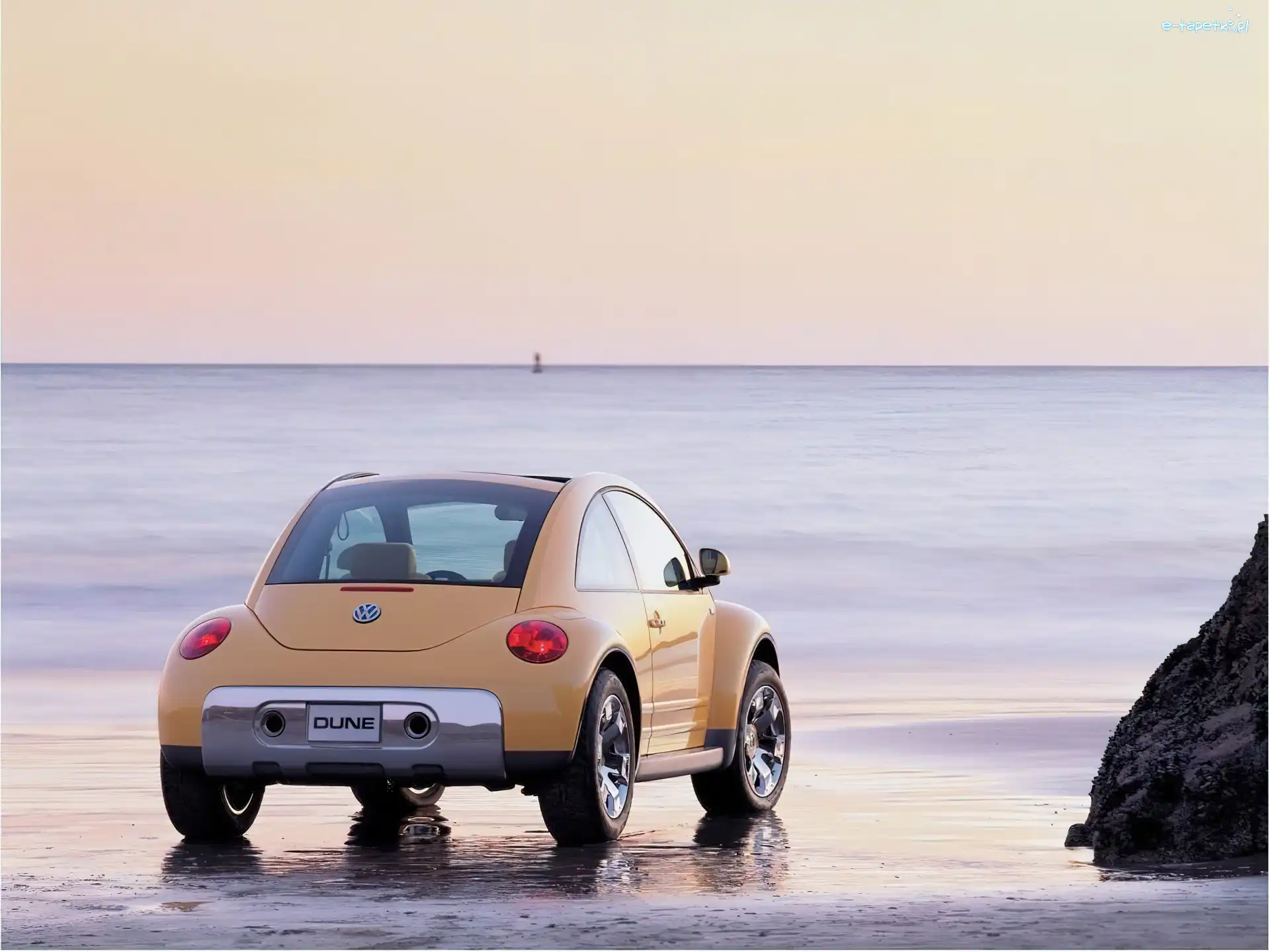 Plarza, New Beetle