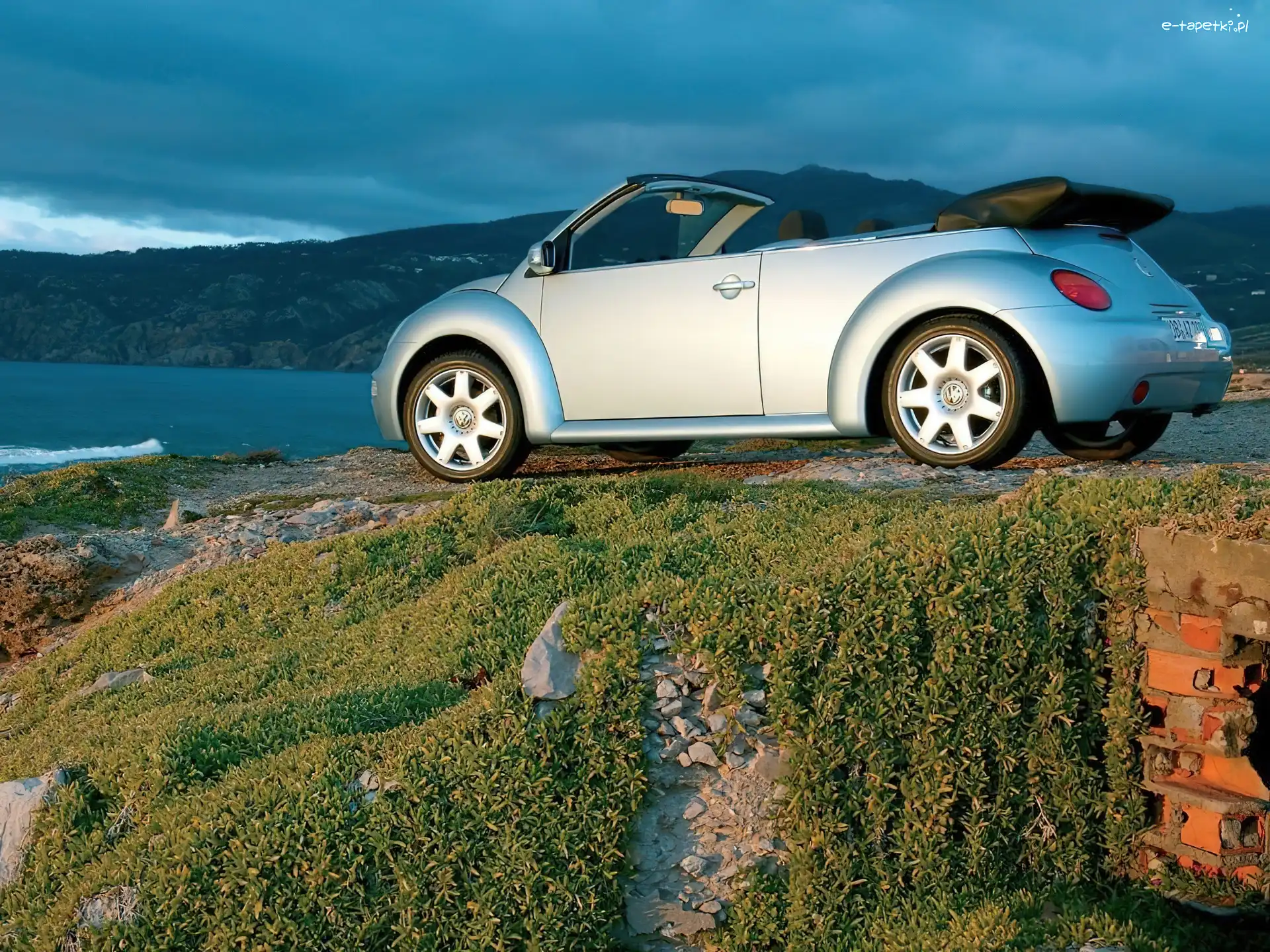 Cabrio, New Beetle