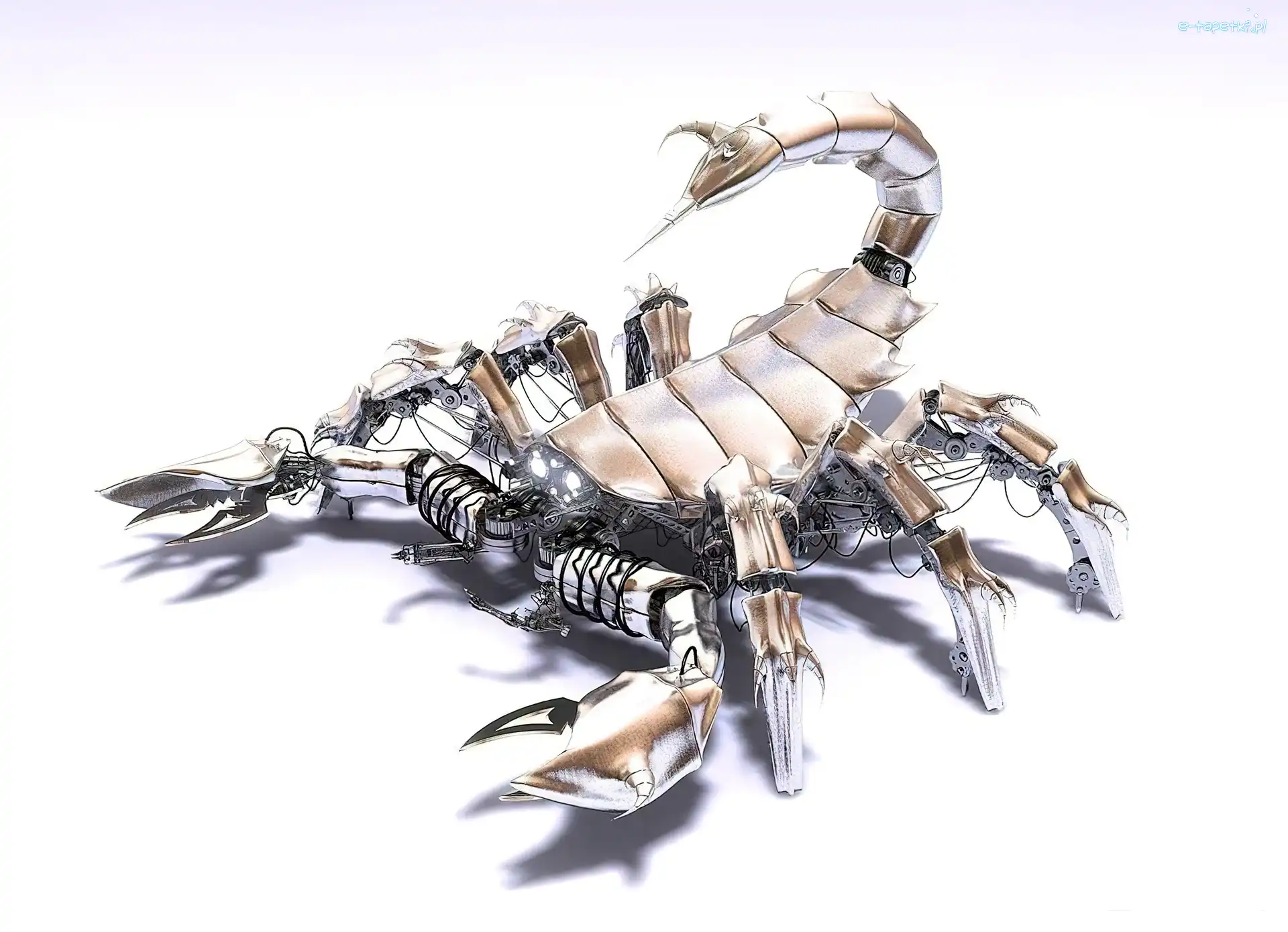 Robot, Skorpion