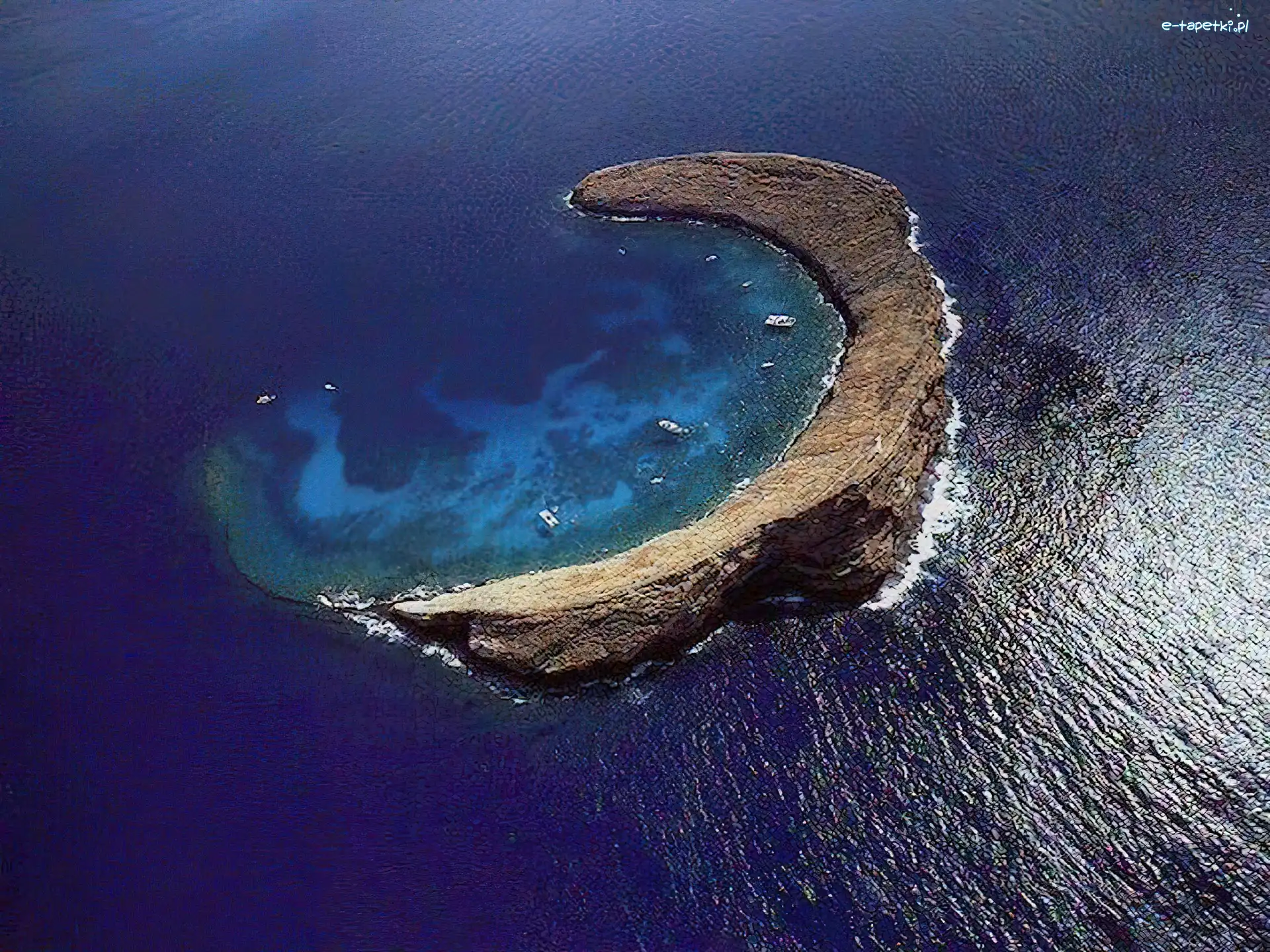 Laguna, Rogal, Wyspa