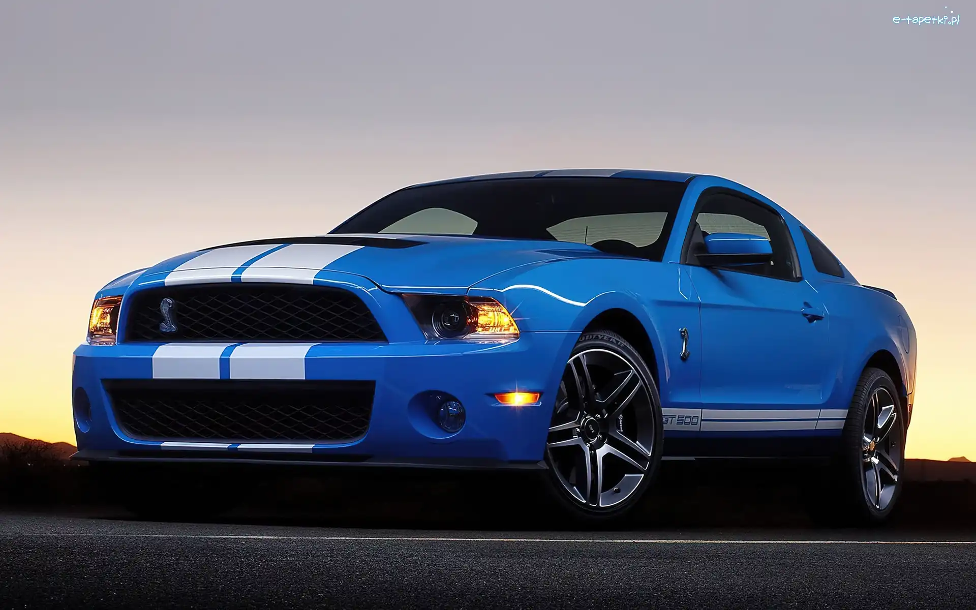 Shelby, Pakiet, Ford Mustang GT 500