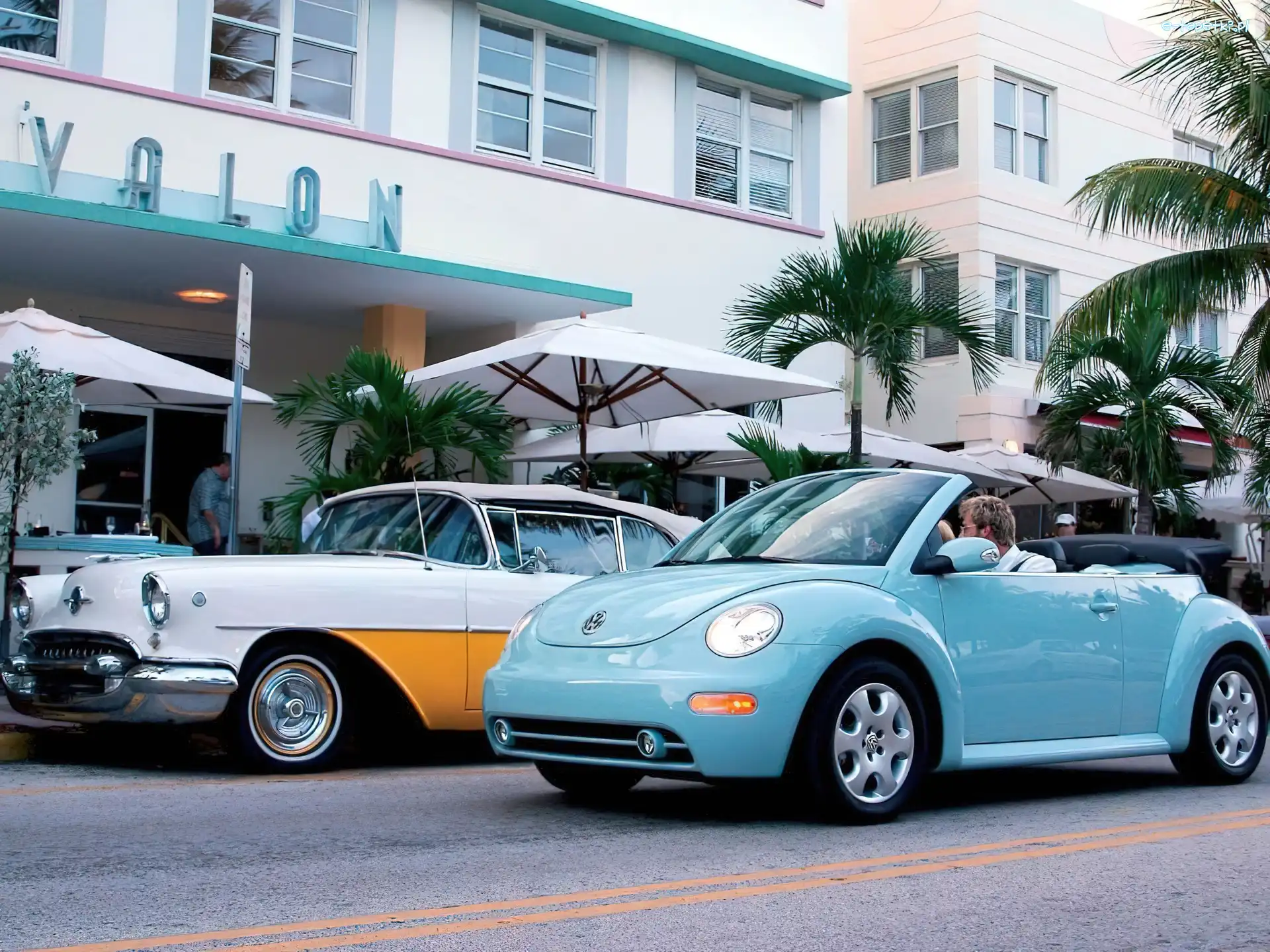 VAlon, New Beetle