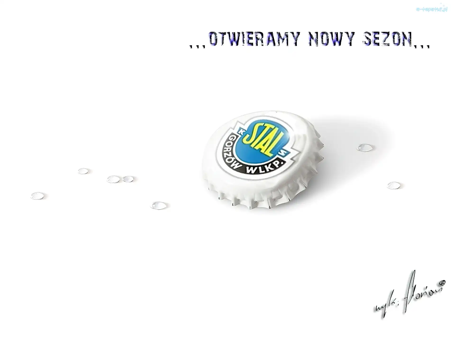 Stal Gorzów, Żużlowy, Klub