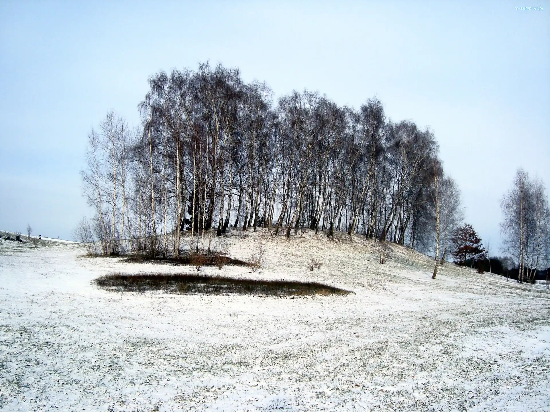 Zagajnik, Myślęcinek, Bydgoszcz