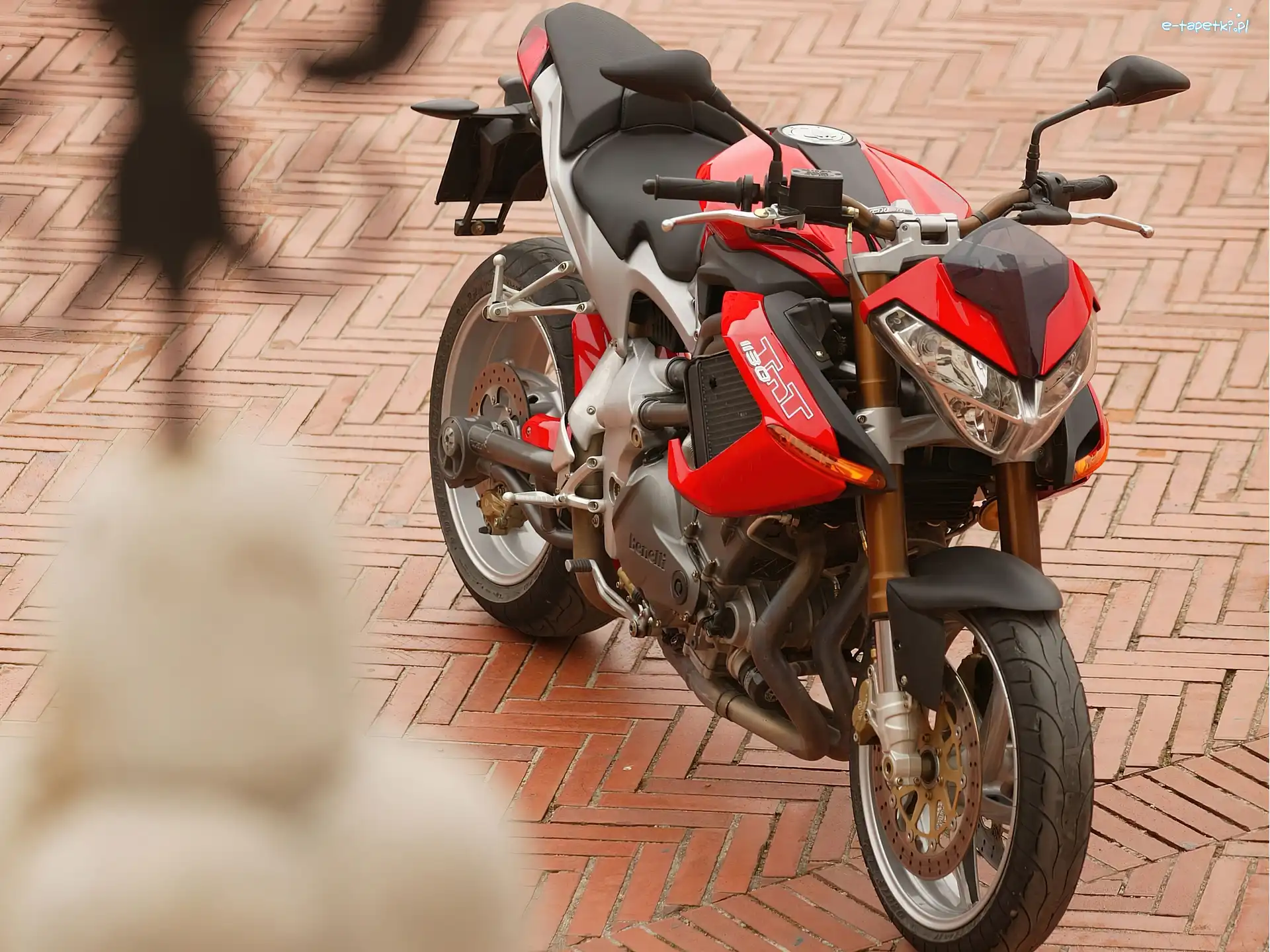 Przednia, Lampa, Benelli TNT 1130
