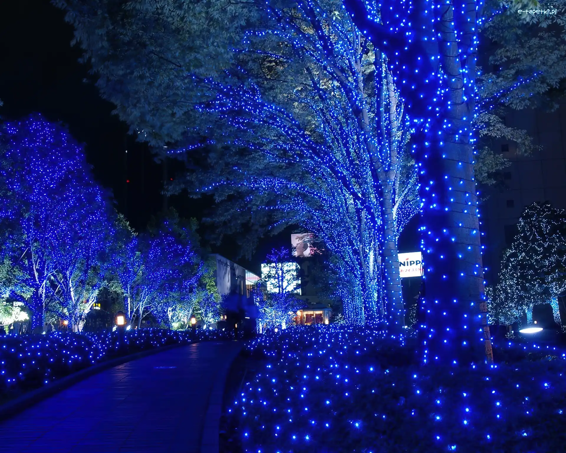 Święta, Japonia, Tokio