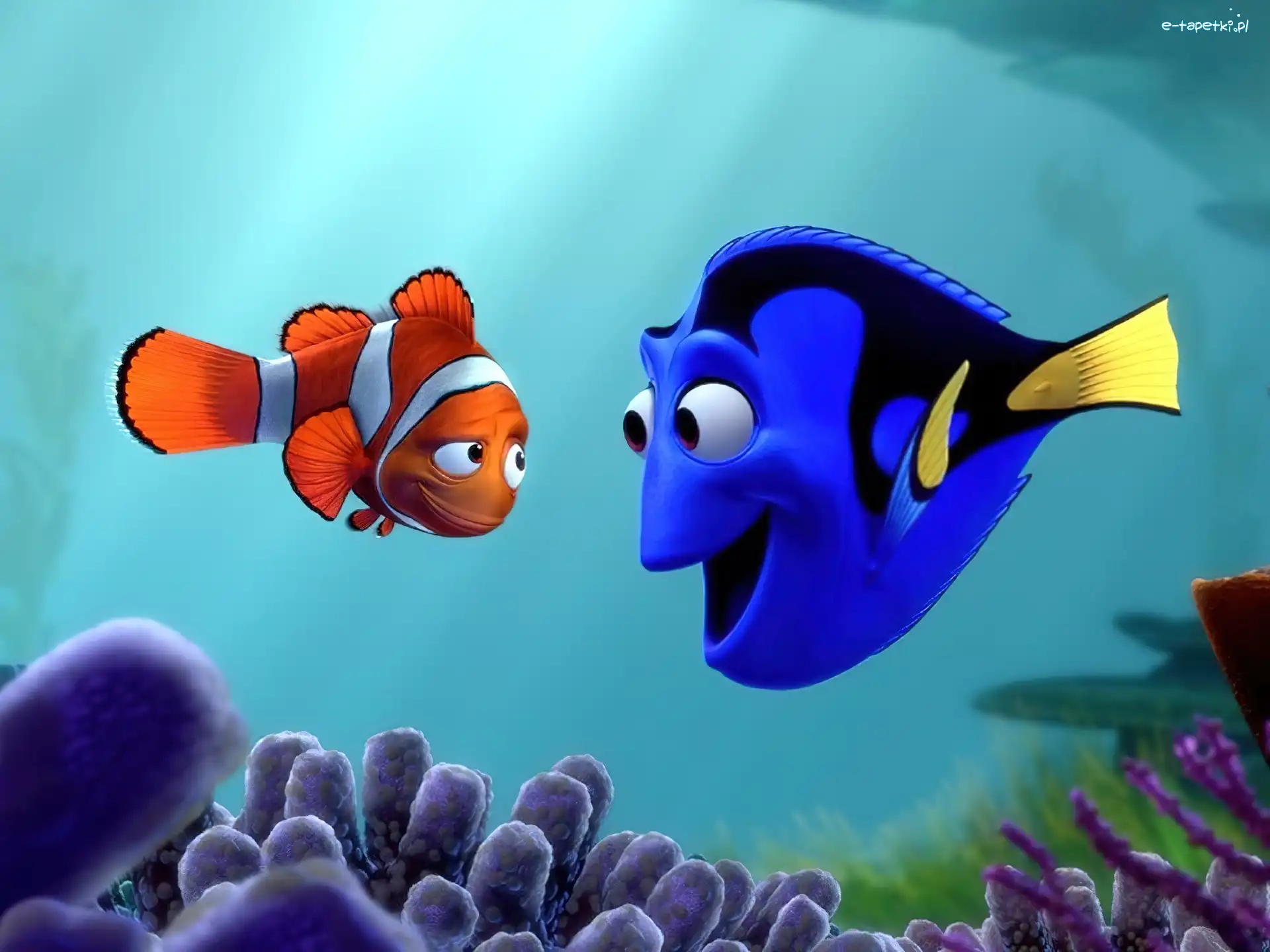 Finding Nemo, Dory, Nemo, Gdzie jest Nemo