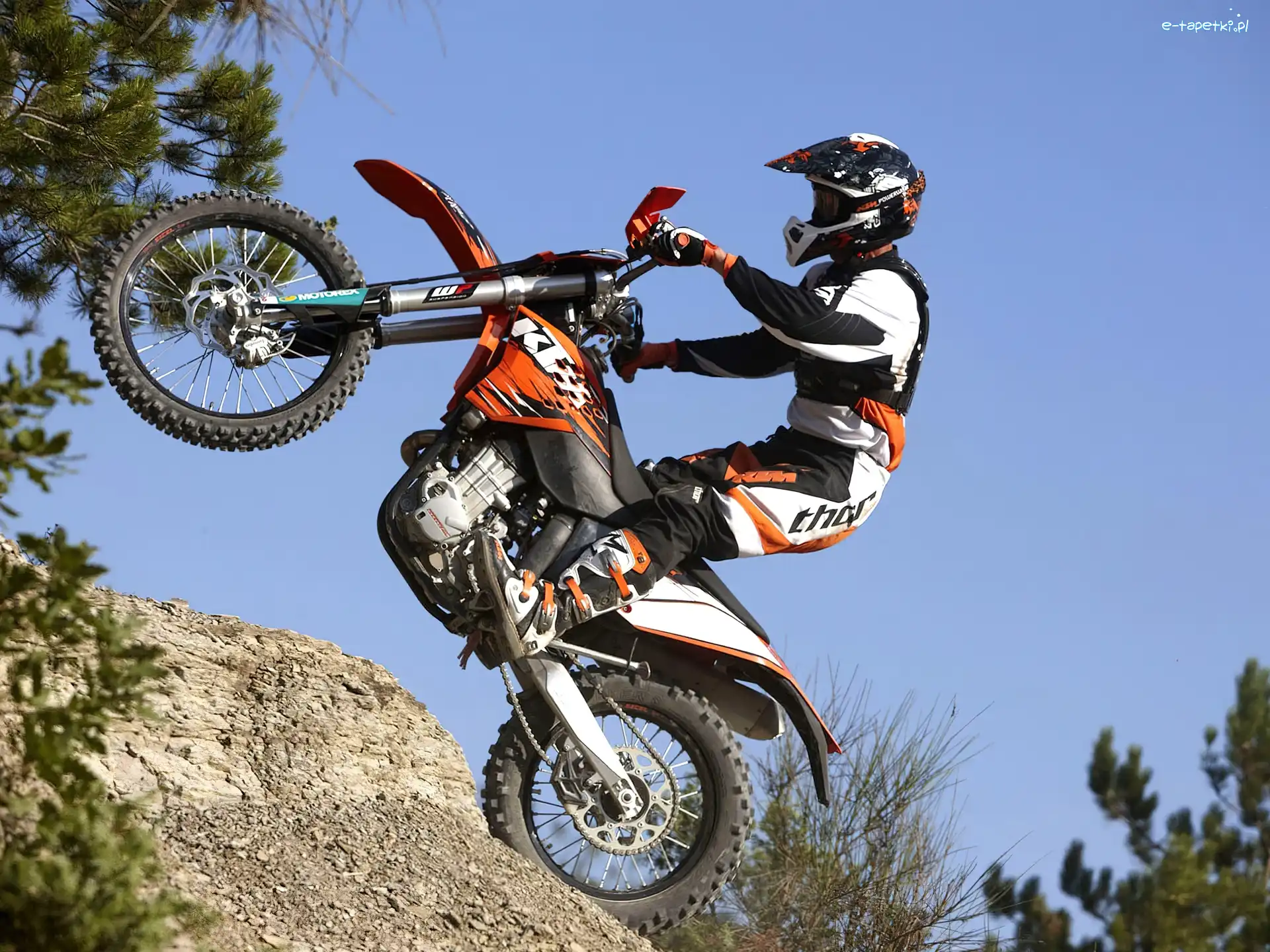 Podjazd, Stromy, KTM 450 EXC