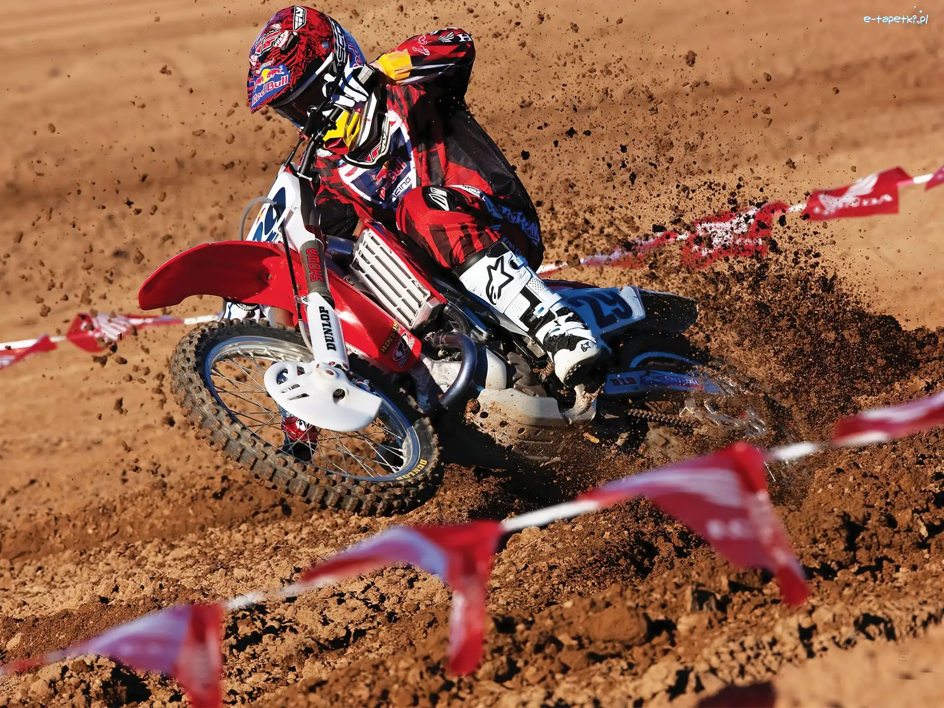 Honda, Red Bull Racing, Team, Cross