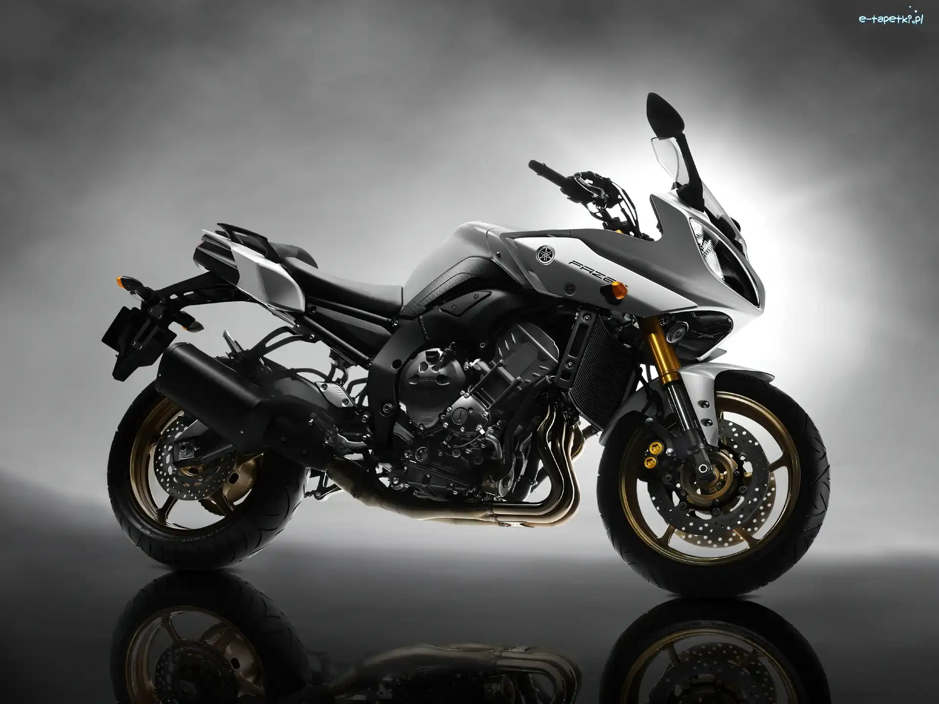 2011, Model, Yamaha FZ8