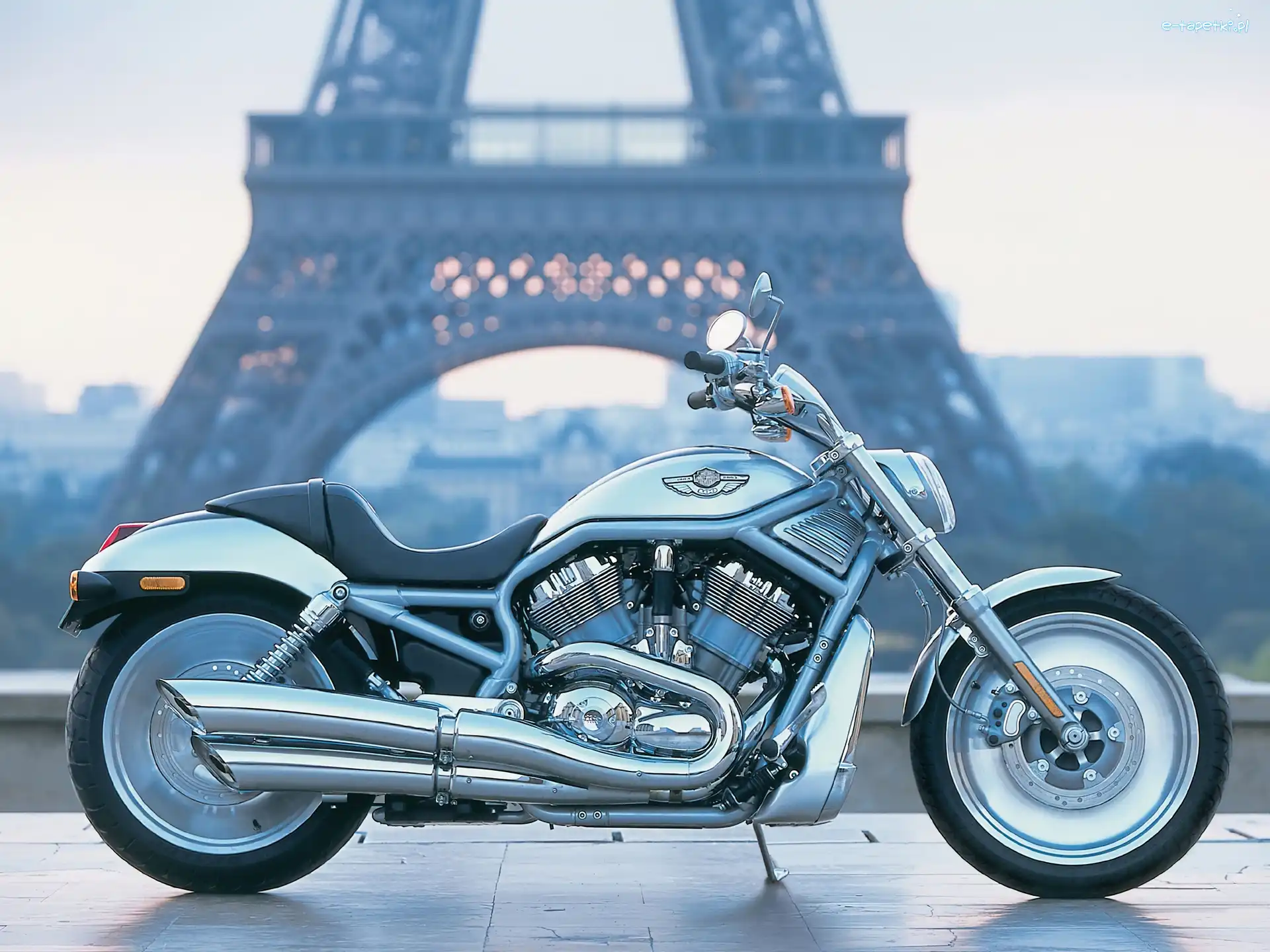 Felgi, Pełne, Harley-Davidson VRSC V-Rod