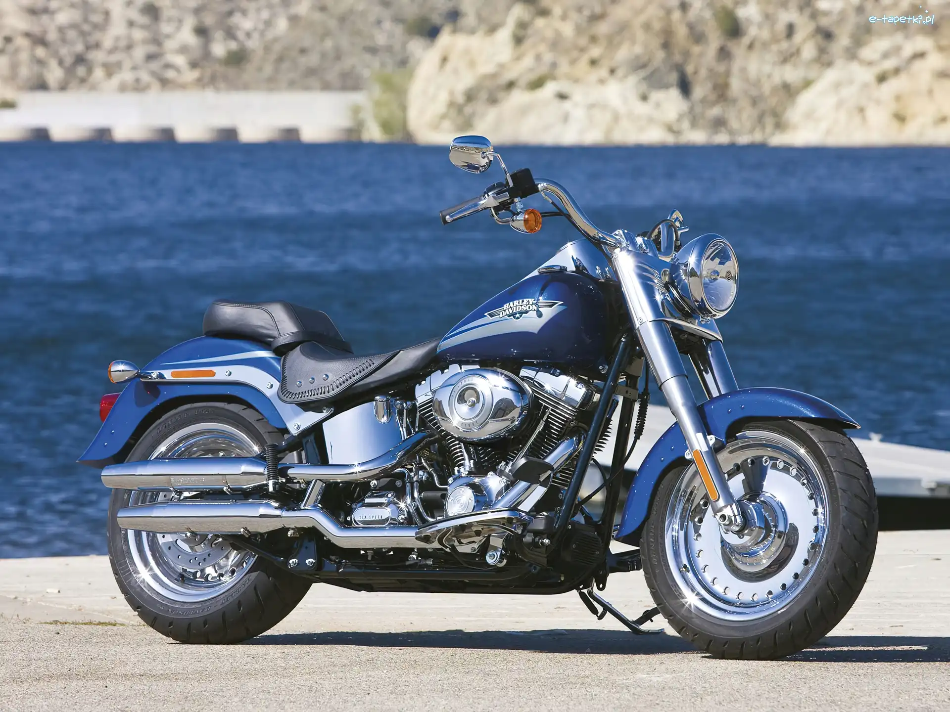 Przód, Amortyzatory, Harley-Davidson Softail Fat Boy
