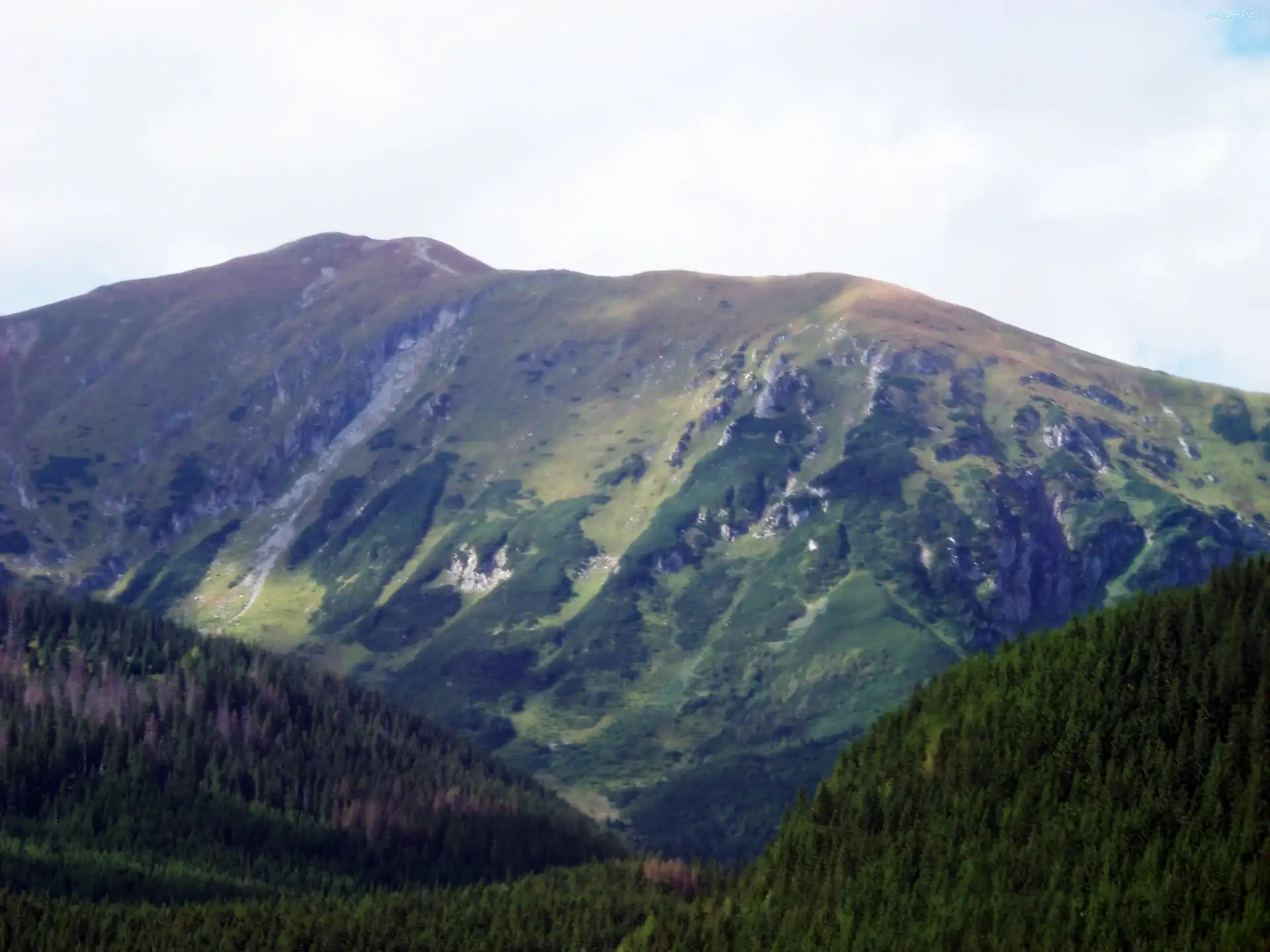 Urwisko, Stok, Góry