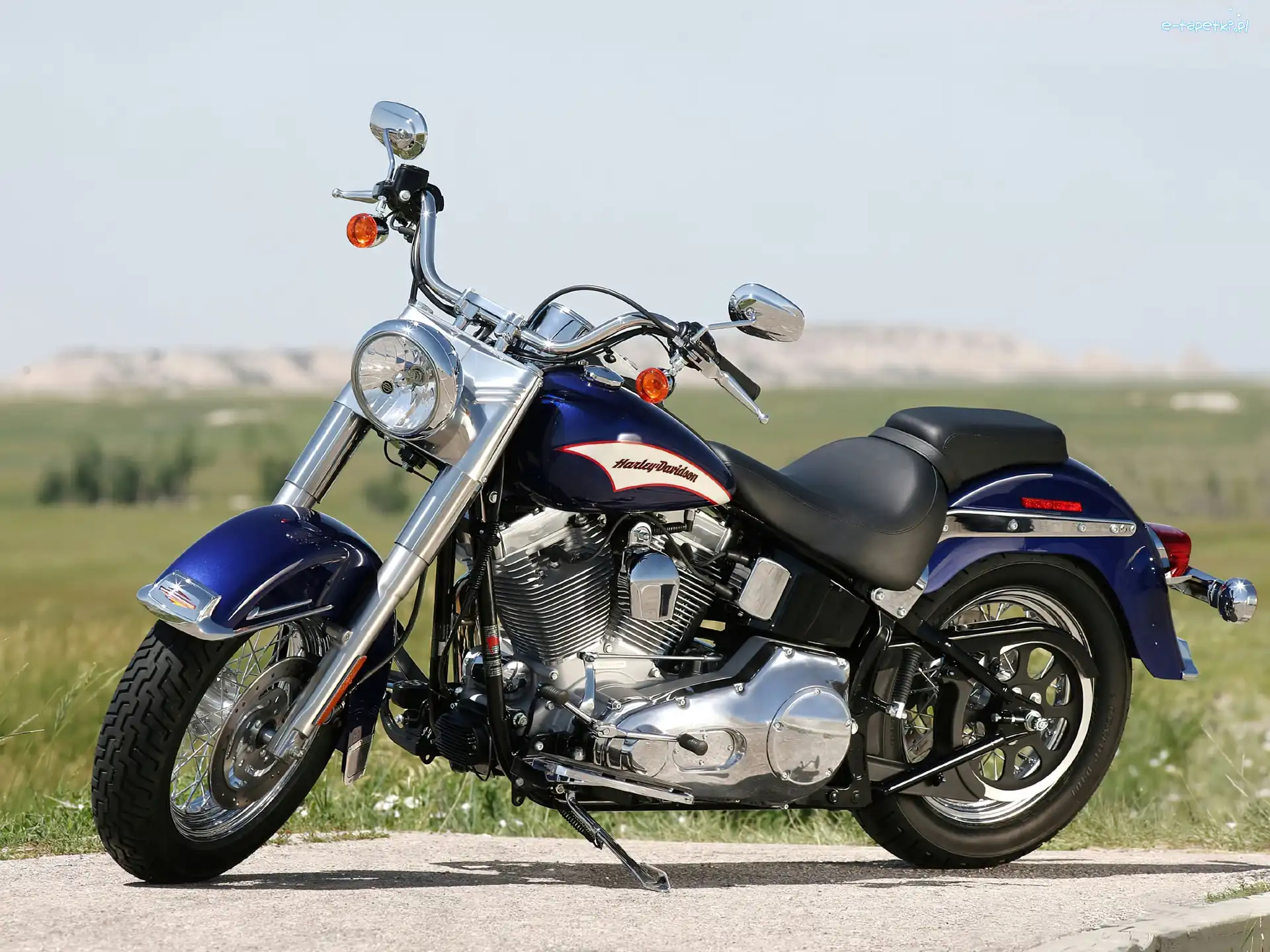 Napędowy, Pas, Harley Davidson Softail