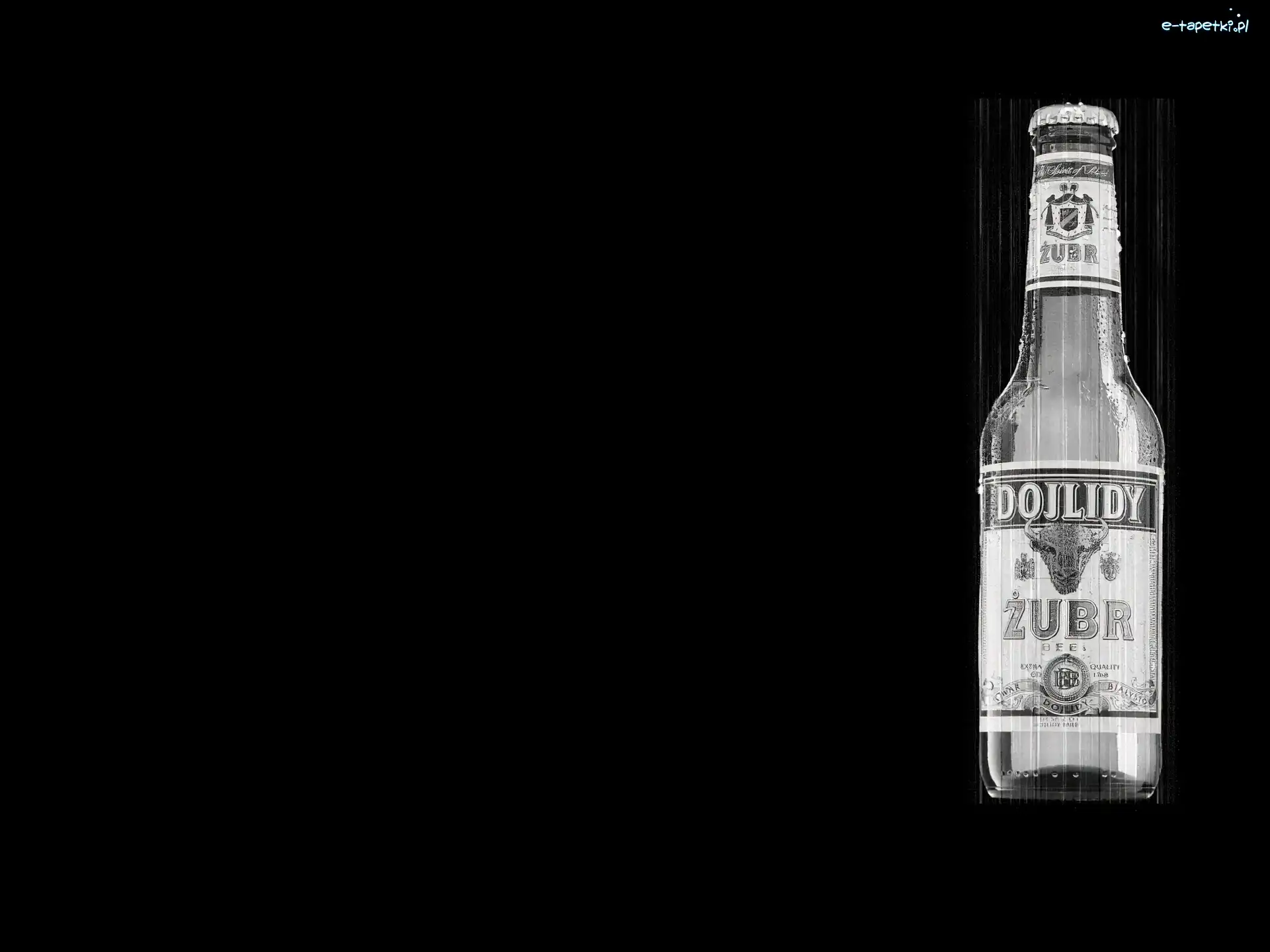 Żubr, Dojlidy