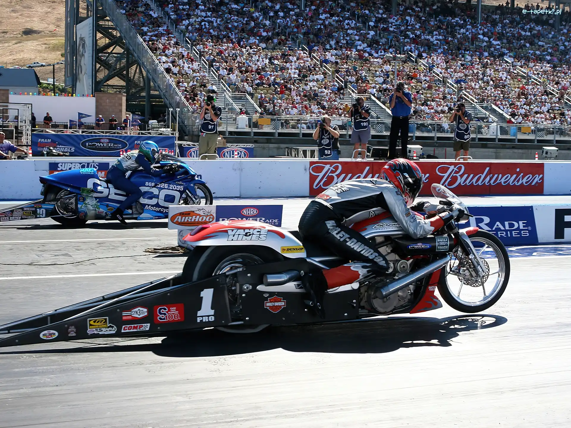 Trybuny, Wyścig, Harley Davidson V-Rod Muscle Drag