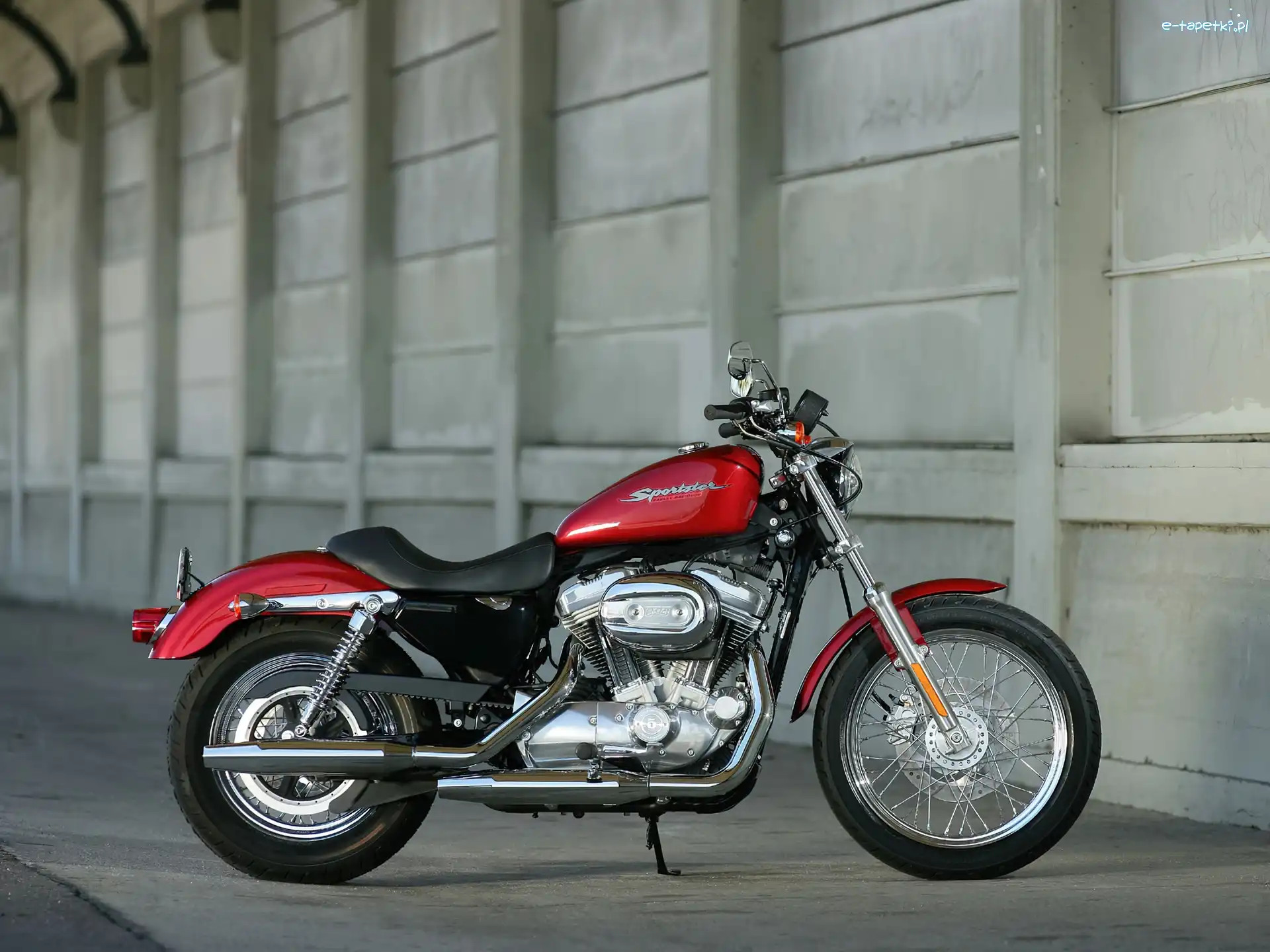 Silnika, Dekle, Harley Davidson XL883 Sportster