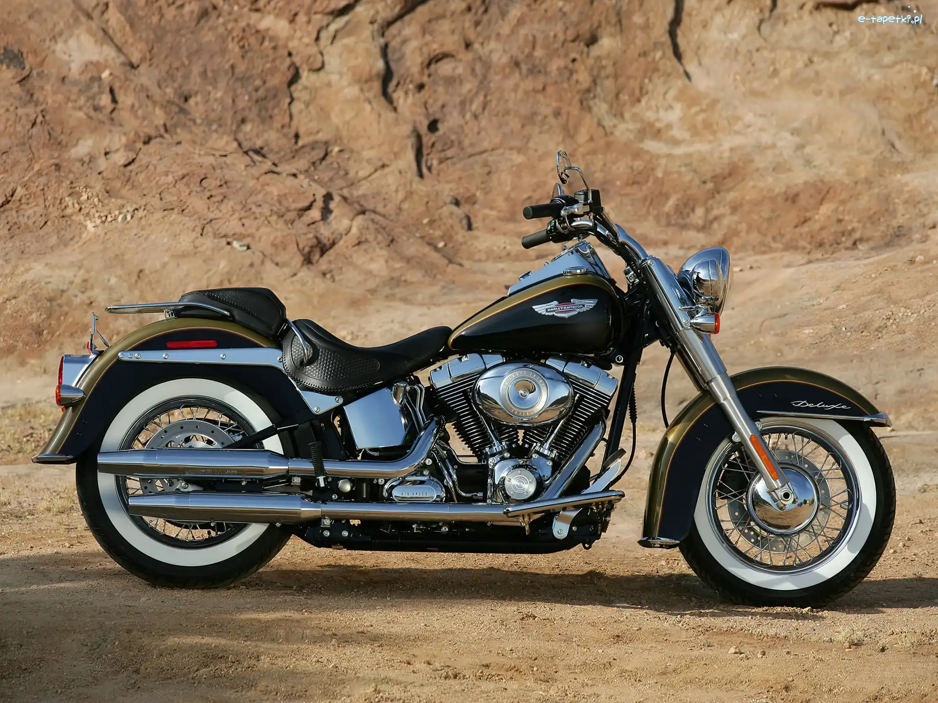 Paliwa, Bak, Harley Davidson Softail Fat Boy