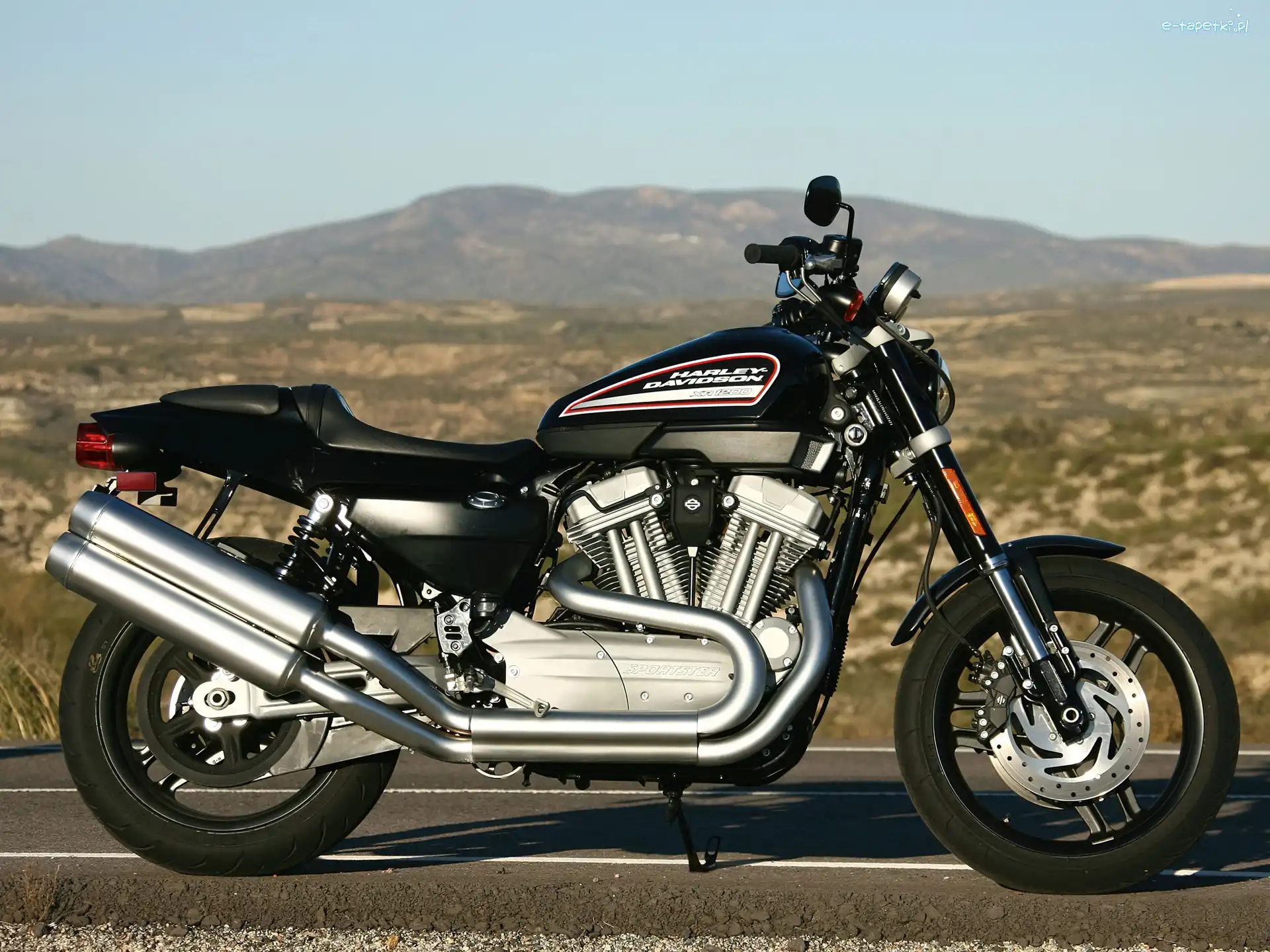 Wydechowy, Układ, Harley Davidson XR1200