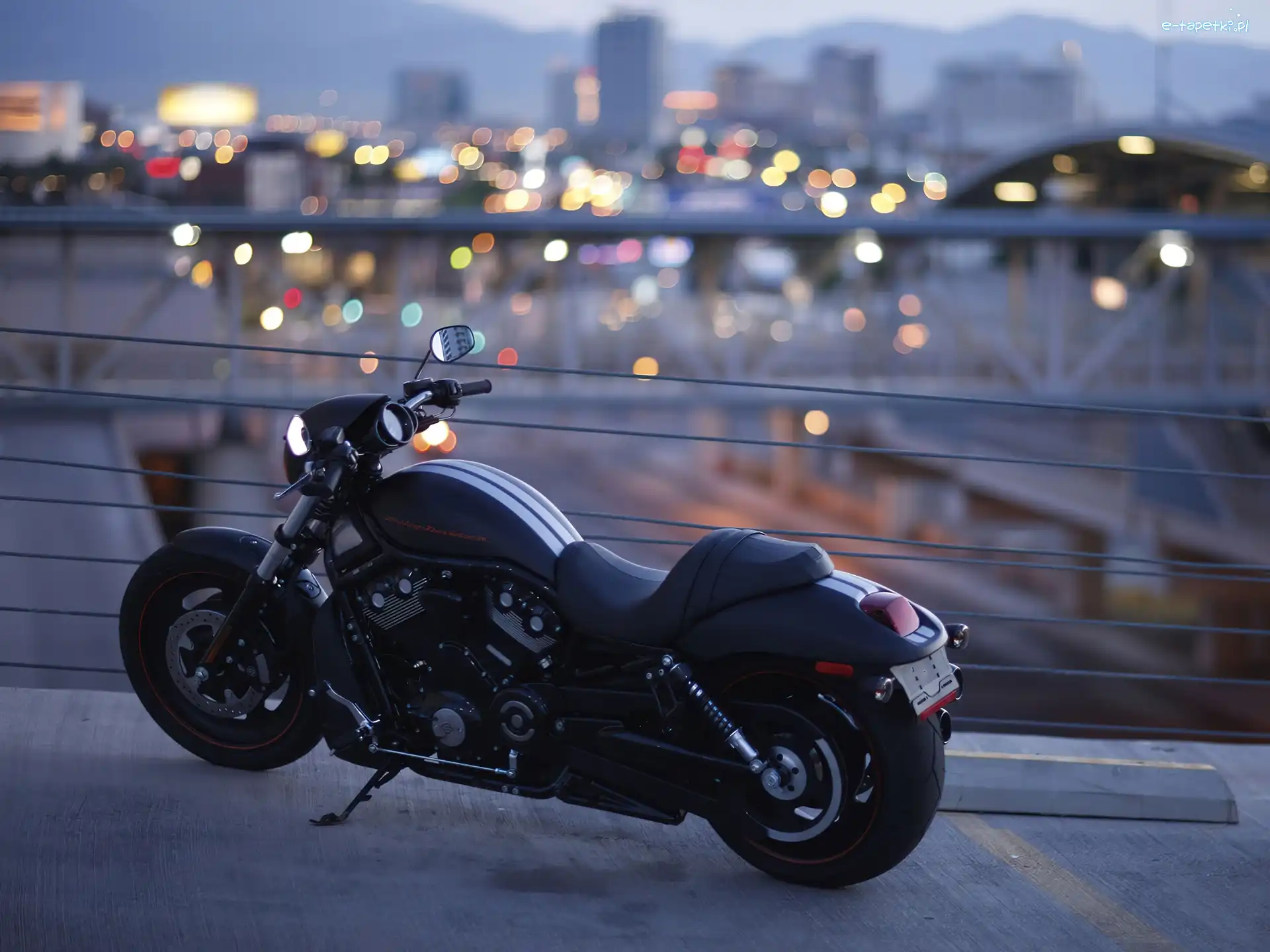 Pasy, Białe, Harley Davidson Night Rod Special